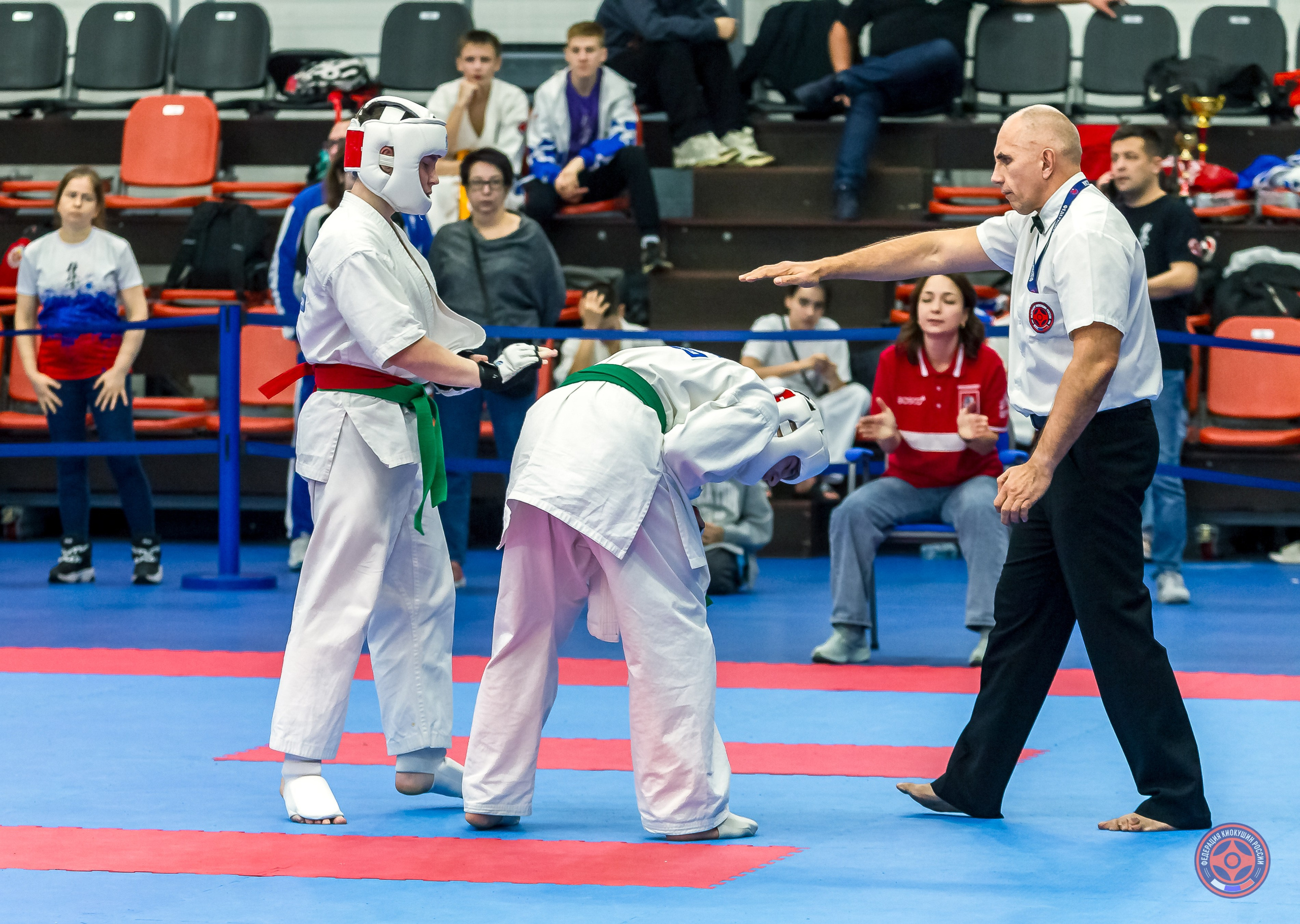 Соревнования по Киокушин памяти С. Увицкого. Репортажная съемка в Москве и области. Анималистика