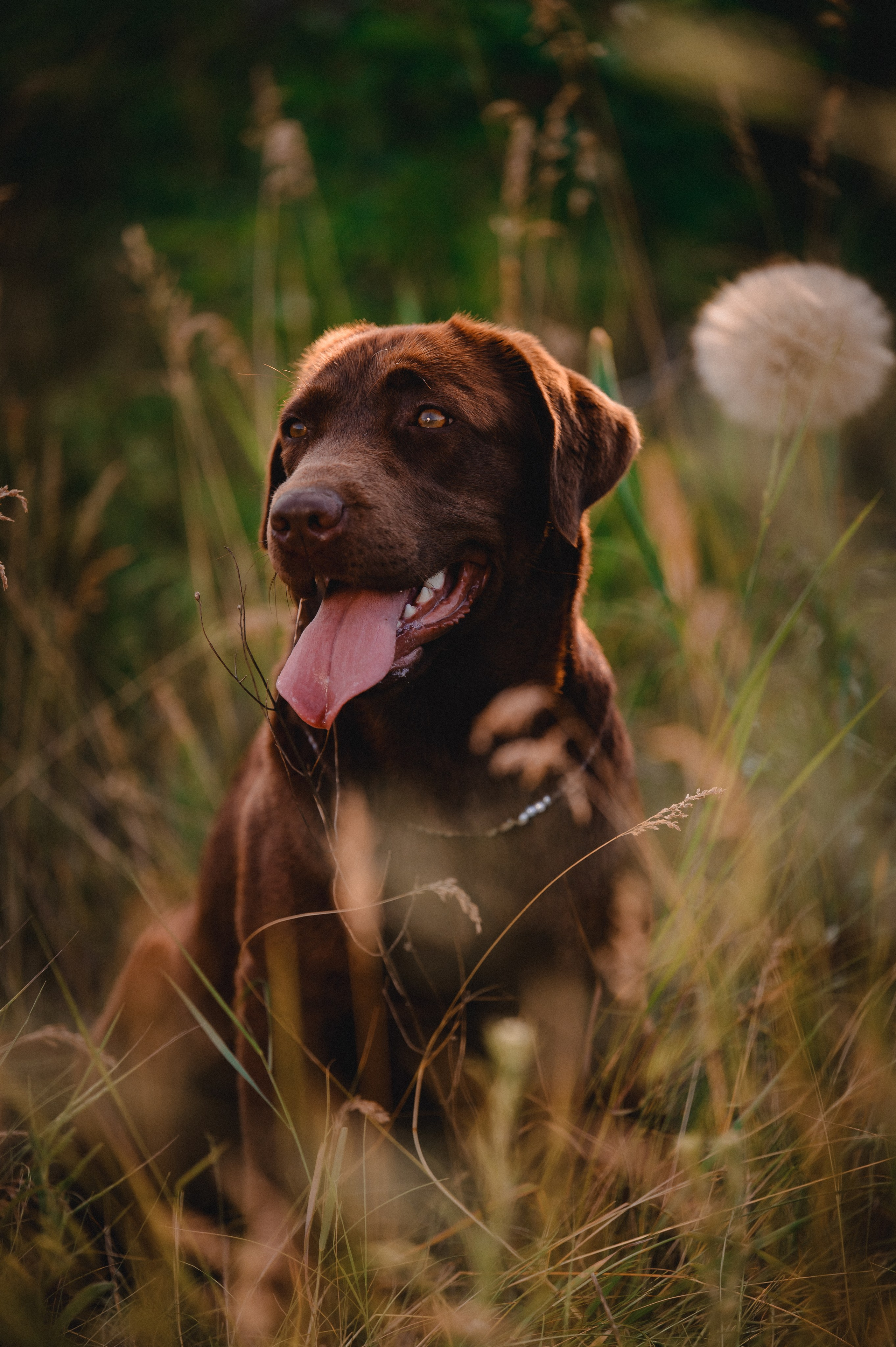 Анечка и Дэя. Фотограф в Ростове —на — Дону