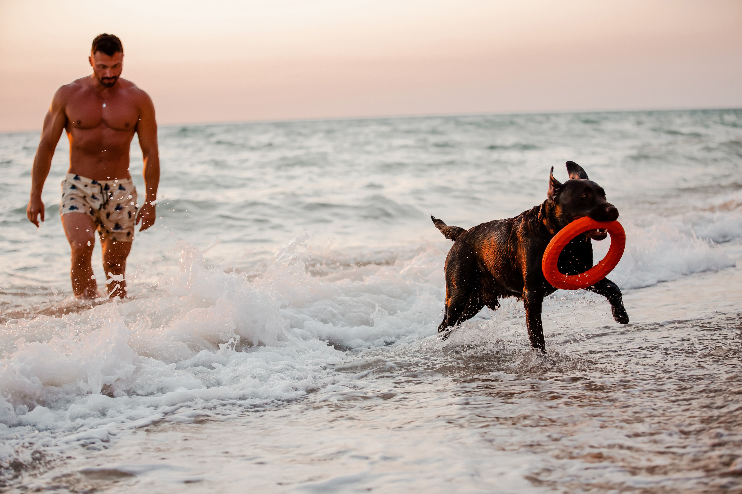 Фотосессия «Человек и собака». Фотограф-анималист в Краснодаре Маша Мельникова