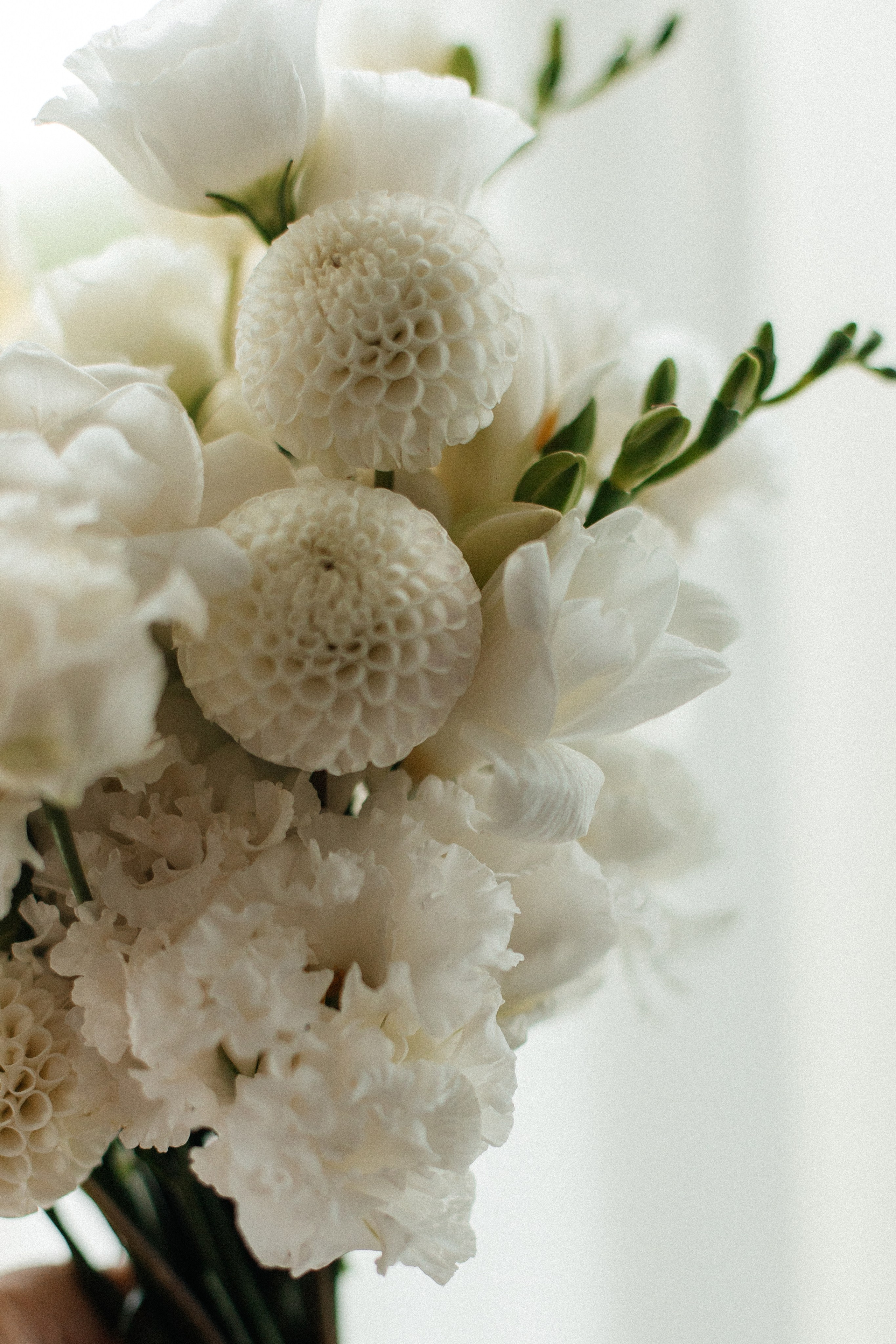 Евгений и Жанна. Свадебный фотограф и видеограф