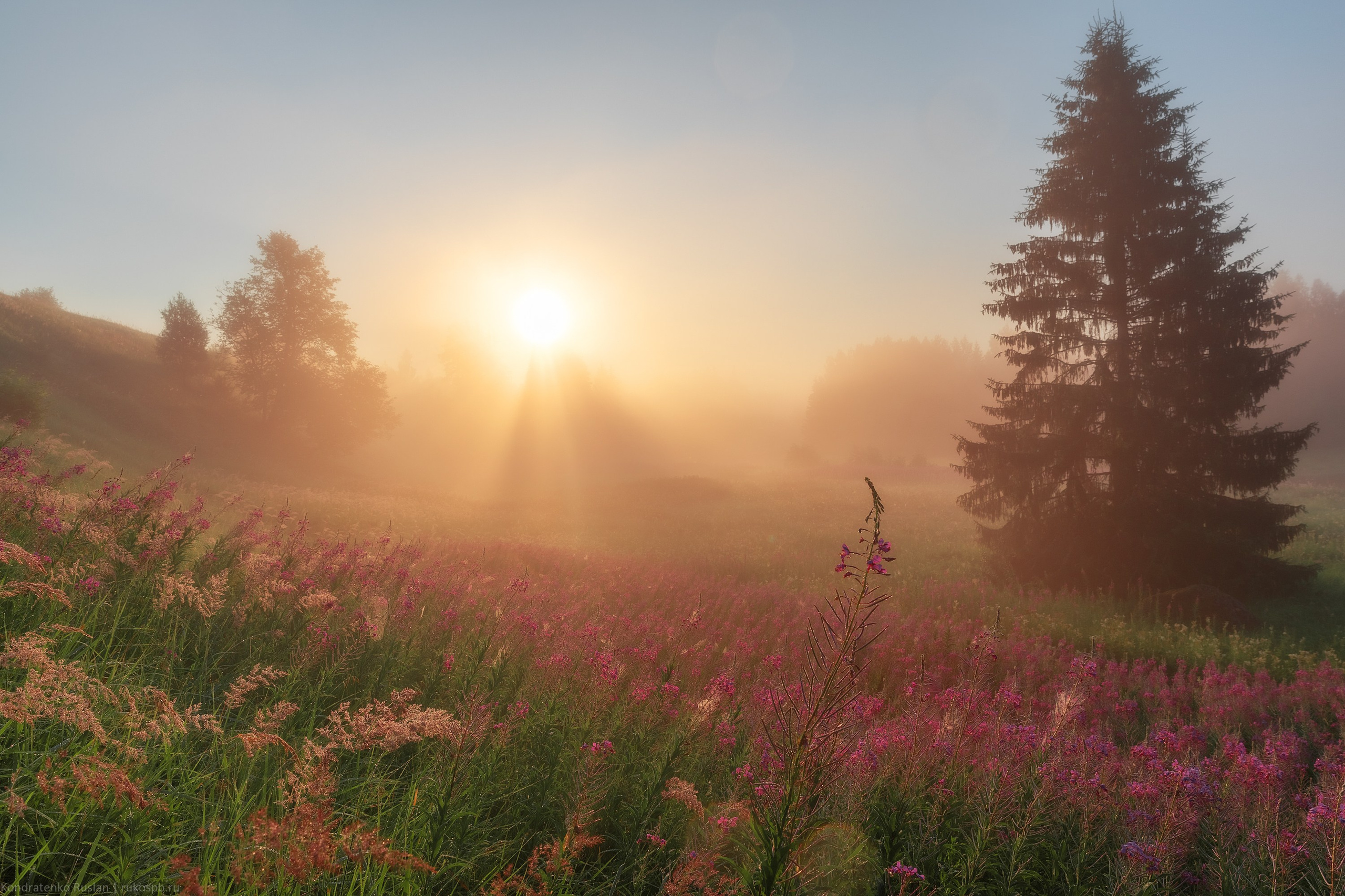 Ленинградская область. Архитектурный и пейзажный фотограф Кондратенко Руслан, Санкт-Петербург