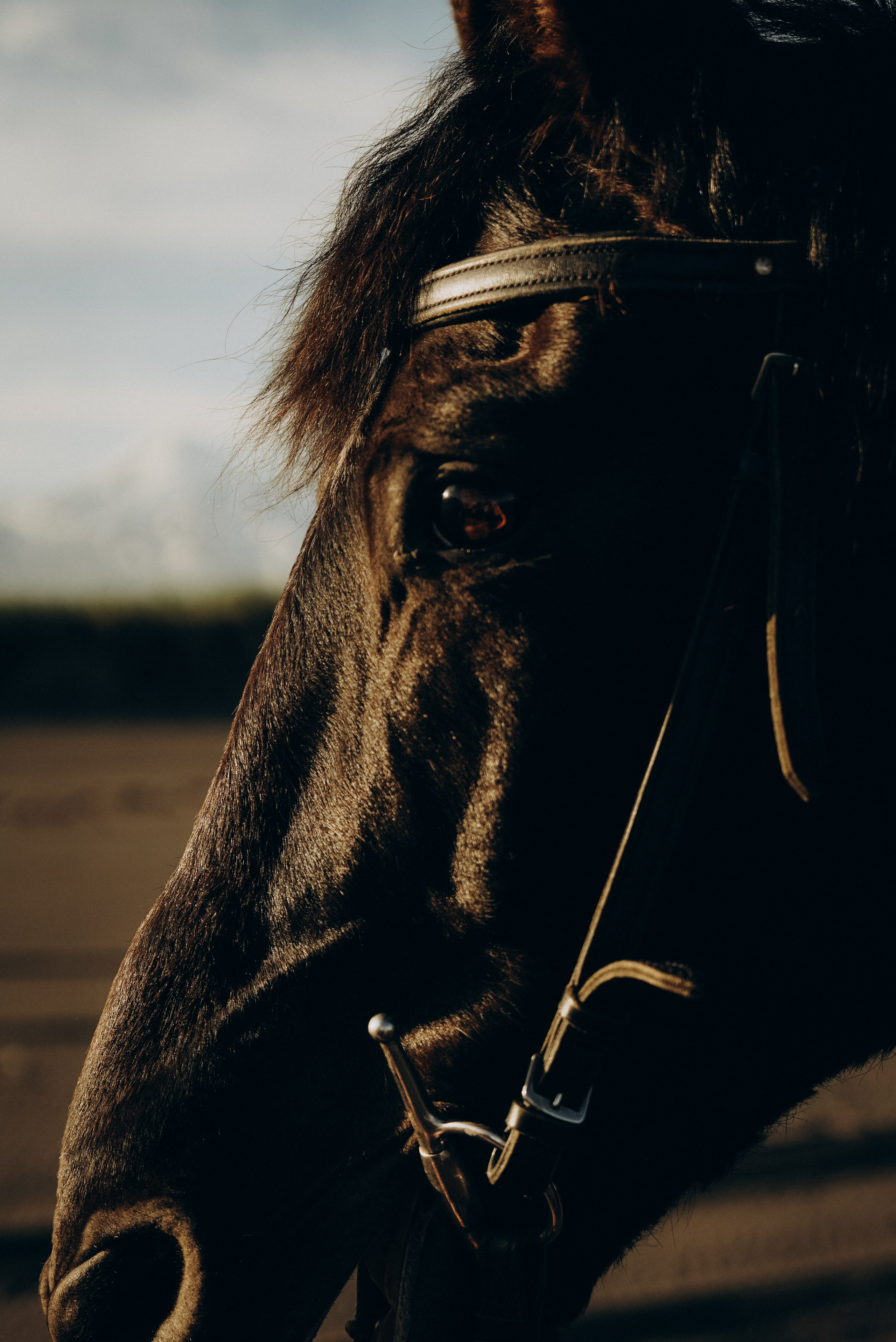 Индивидуальные. Фотограф на Камчатке Воронина Ульяна