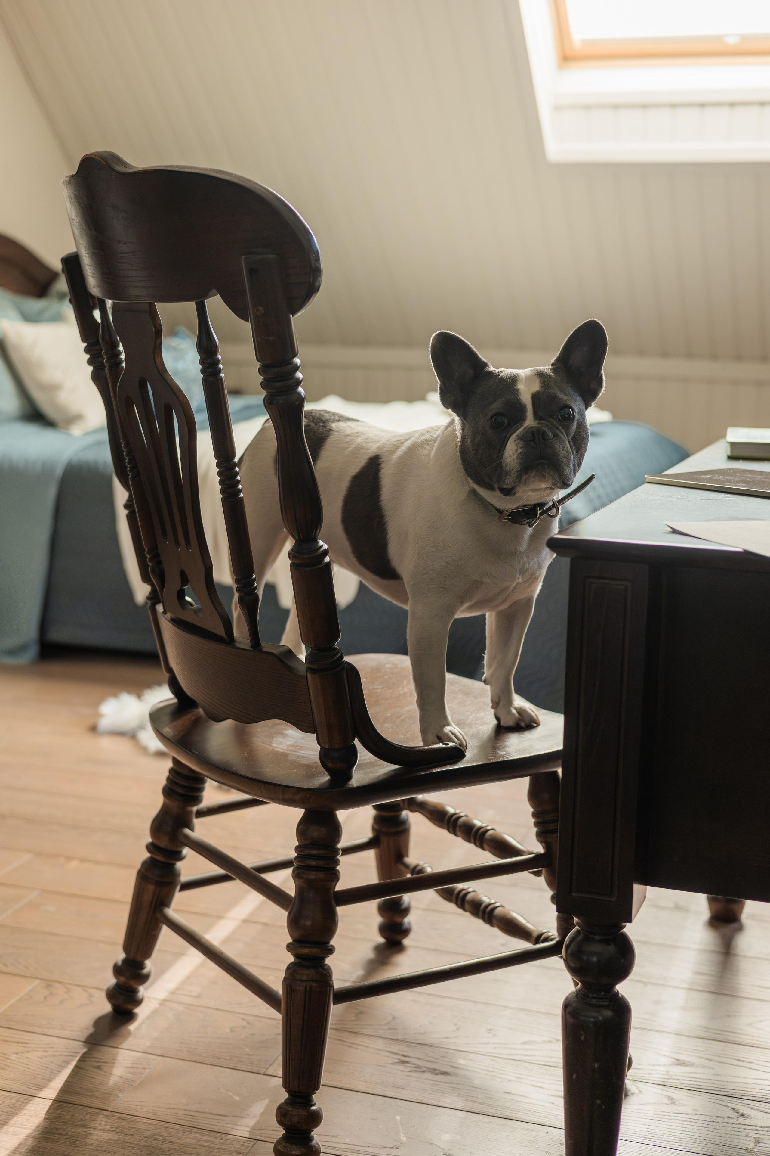 Контент-съемка (для профессионалов). Фотограф Антонина Знак. Семейные фотосессии. Москва и МО