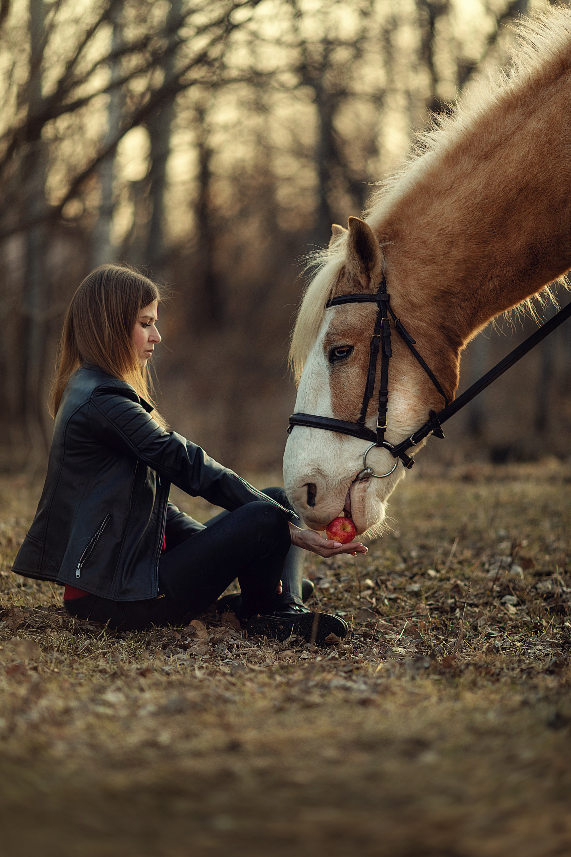 Фотосъемка с лошадью. Семейный и детский фотограф в Хабаровске Савишина Светлана