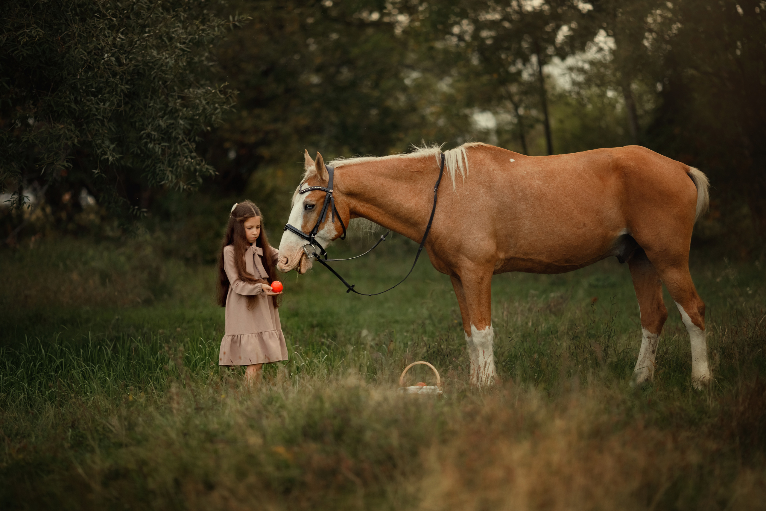 Фотосъемка с лошадью. Семейный и детский фотограф в Хабаровске Савишина Светлана