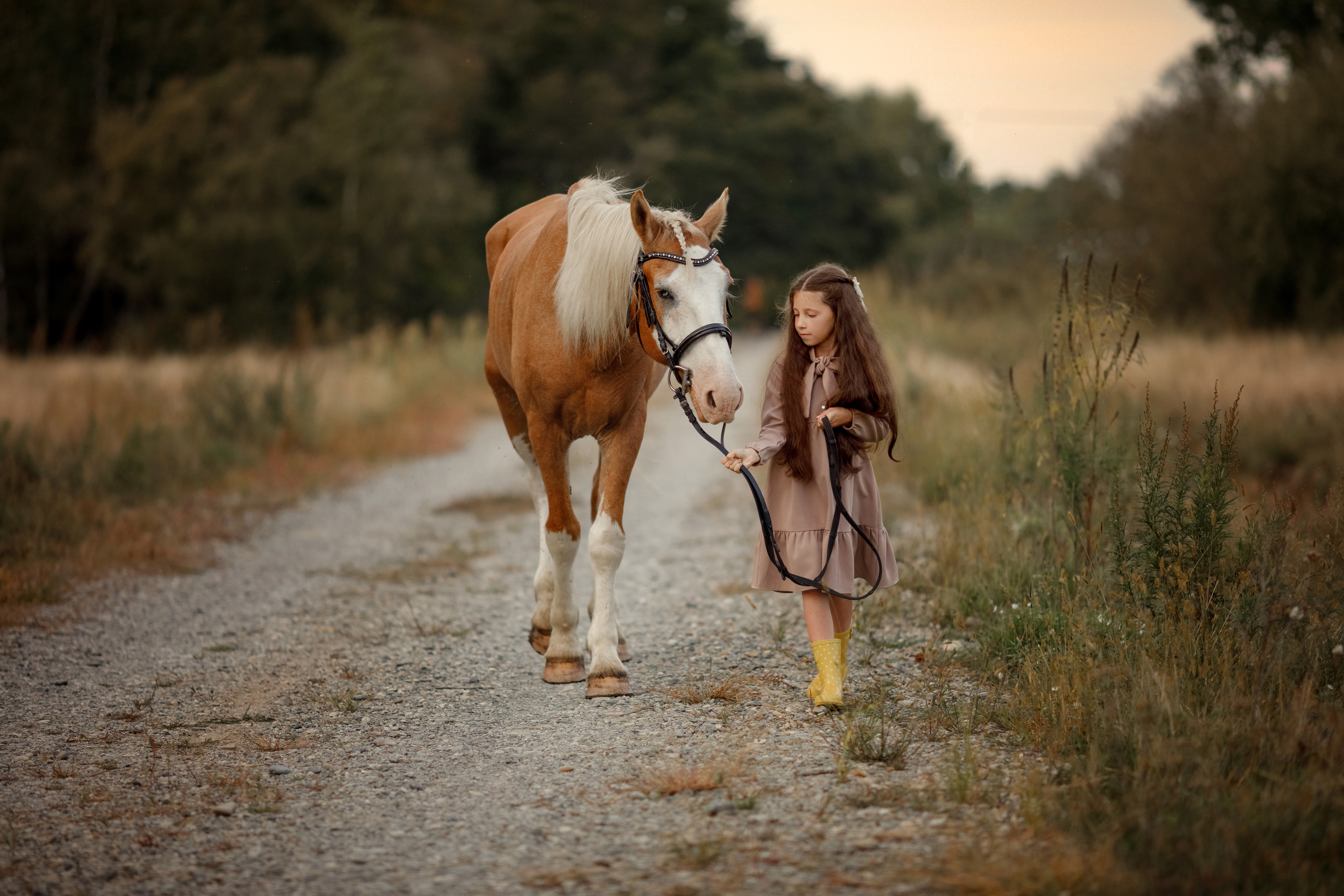 Фотосъемка с лошадью. Семейный и детский фотограф в Хабаровске Савишина Светлана