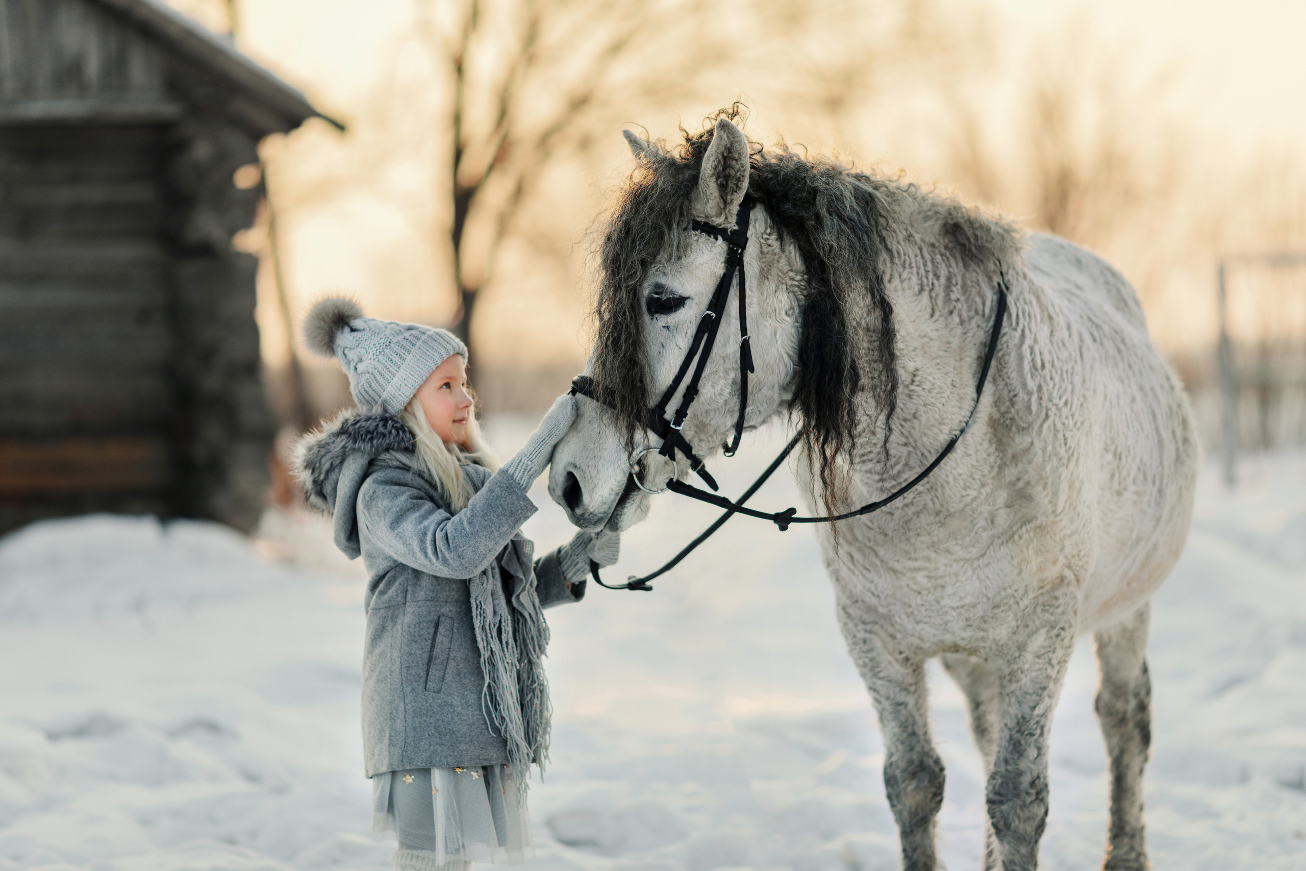 Фотосъемка с лошадью. Семейный и детский фотограф в Хабаровске Савишина Светлана