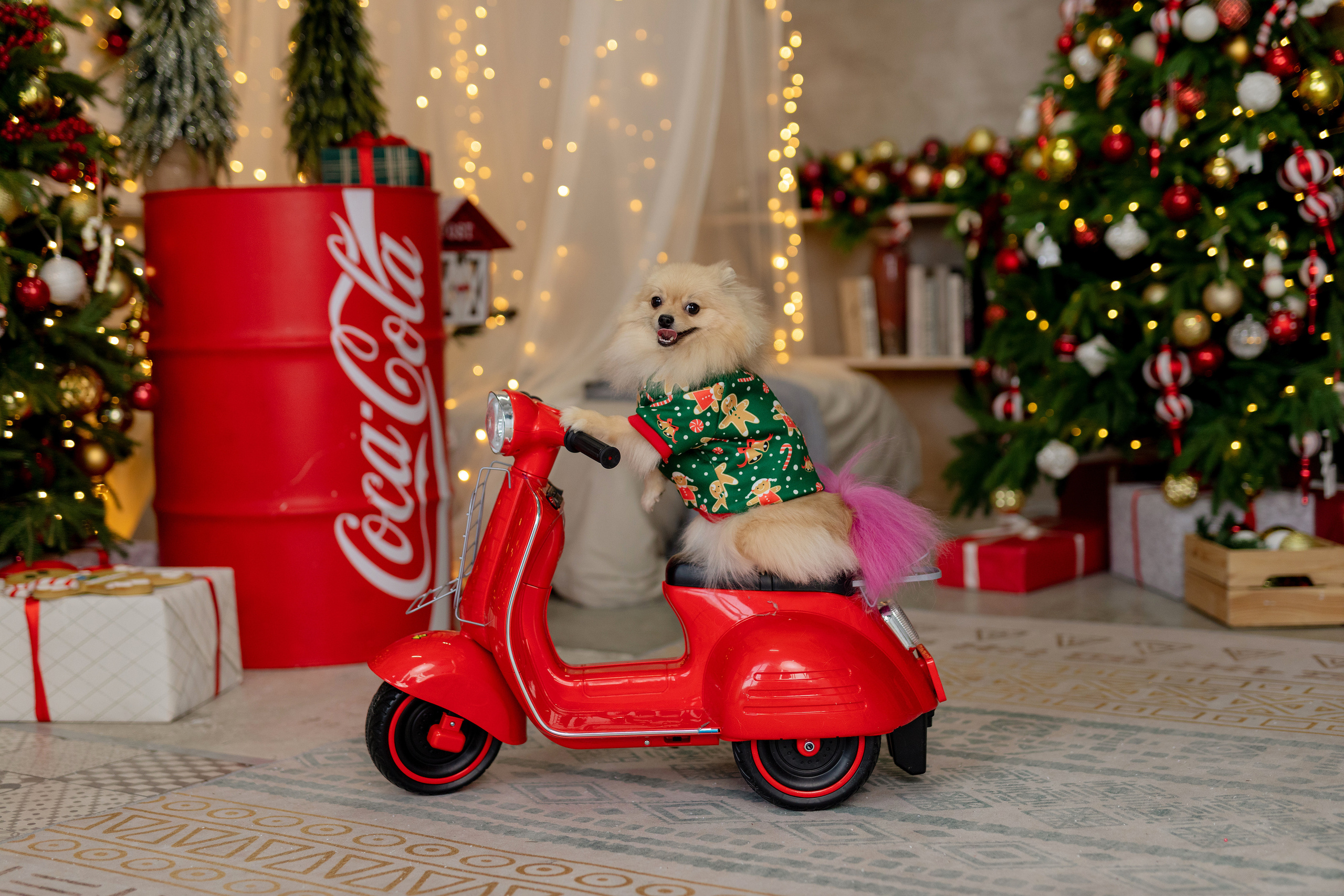 Новый год. Семейный и детский фотограф в Хабаровске Савишина Светлана