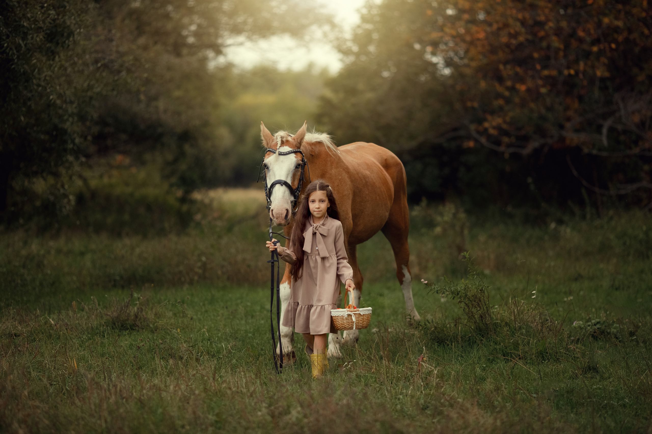 Фотосъемка с лошадью. Семейный и детский фотограф в Хабаровске Савишина Светлана