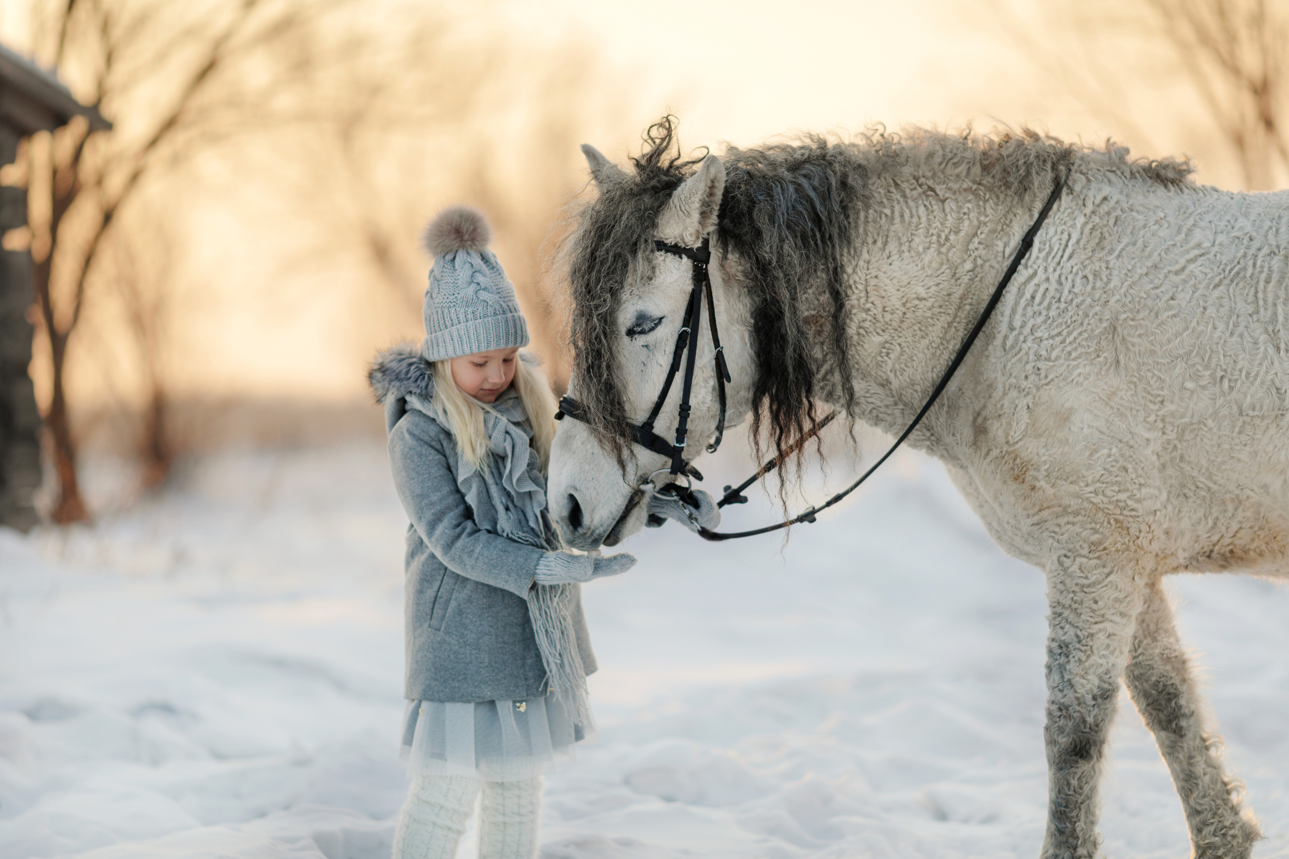 Фотосъемка с лошадью. Семейный и детский фотограф в Хабаровске Савишина Светлана