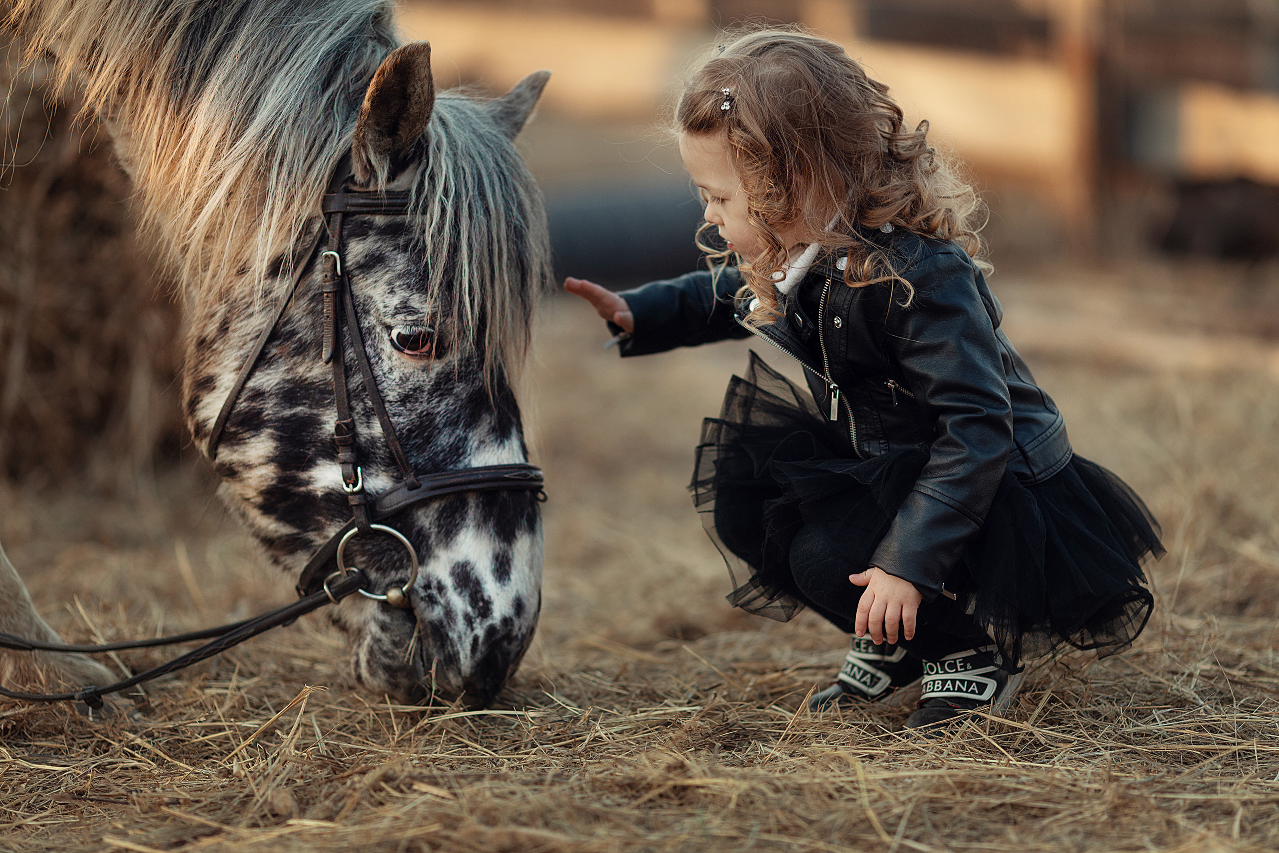 Фотосъемка с лошадью. Семейный и детский фотограф в Хабаровске Савишина Светлана
