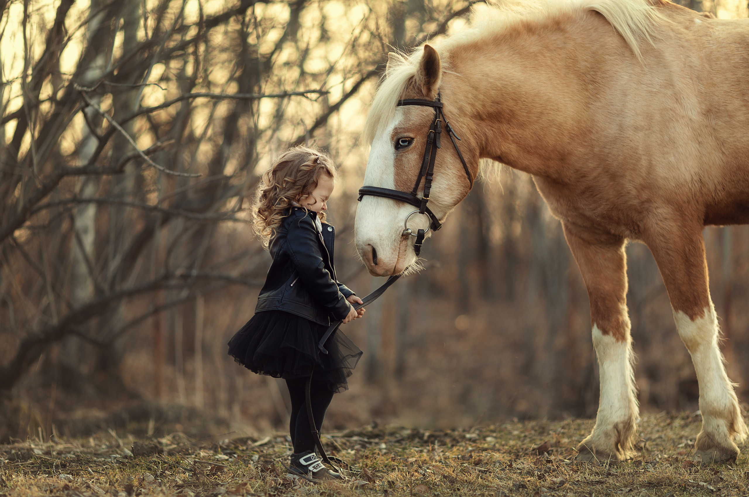 Фотосъемка с лошадью. Семейный и детский фотограф в Хабаровске Савишина Светлана
