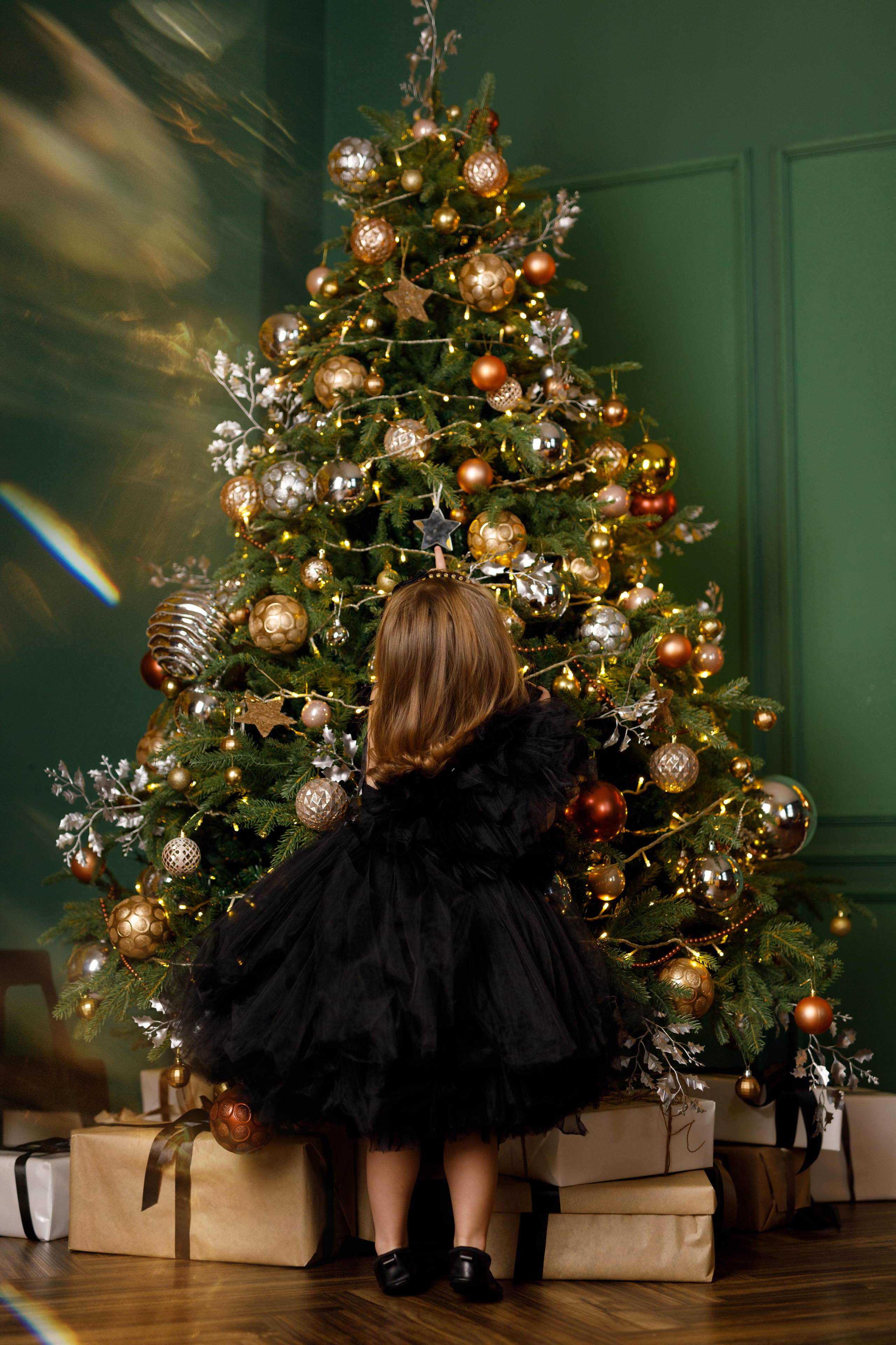 Новый год. Семейный и детский фотограф в Хабаровске Савишина Светлана