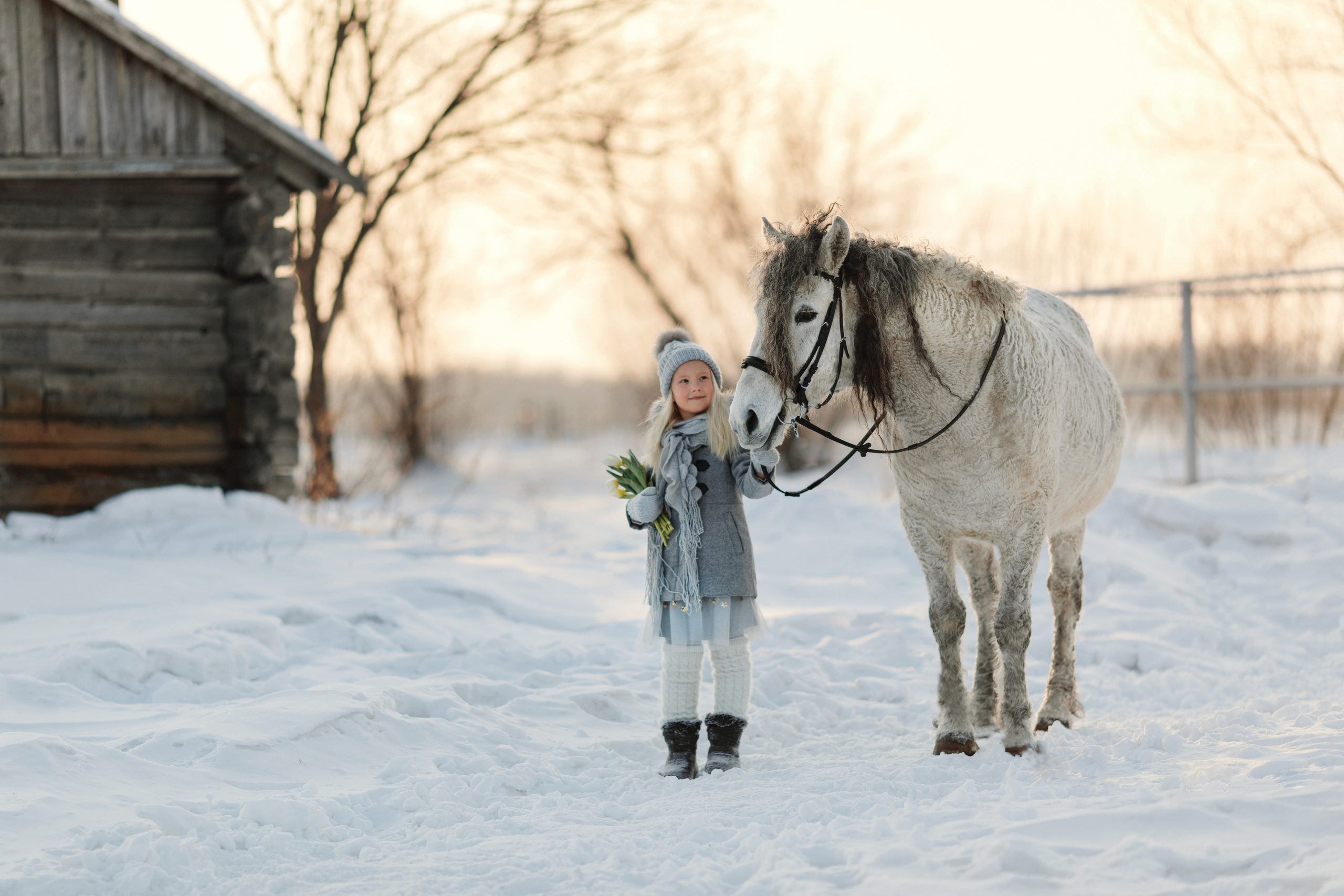 Фотосъемка с лошадью. Семейный и детский фотограф в Хабаровске Савишина Светлана