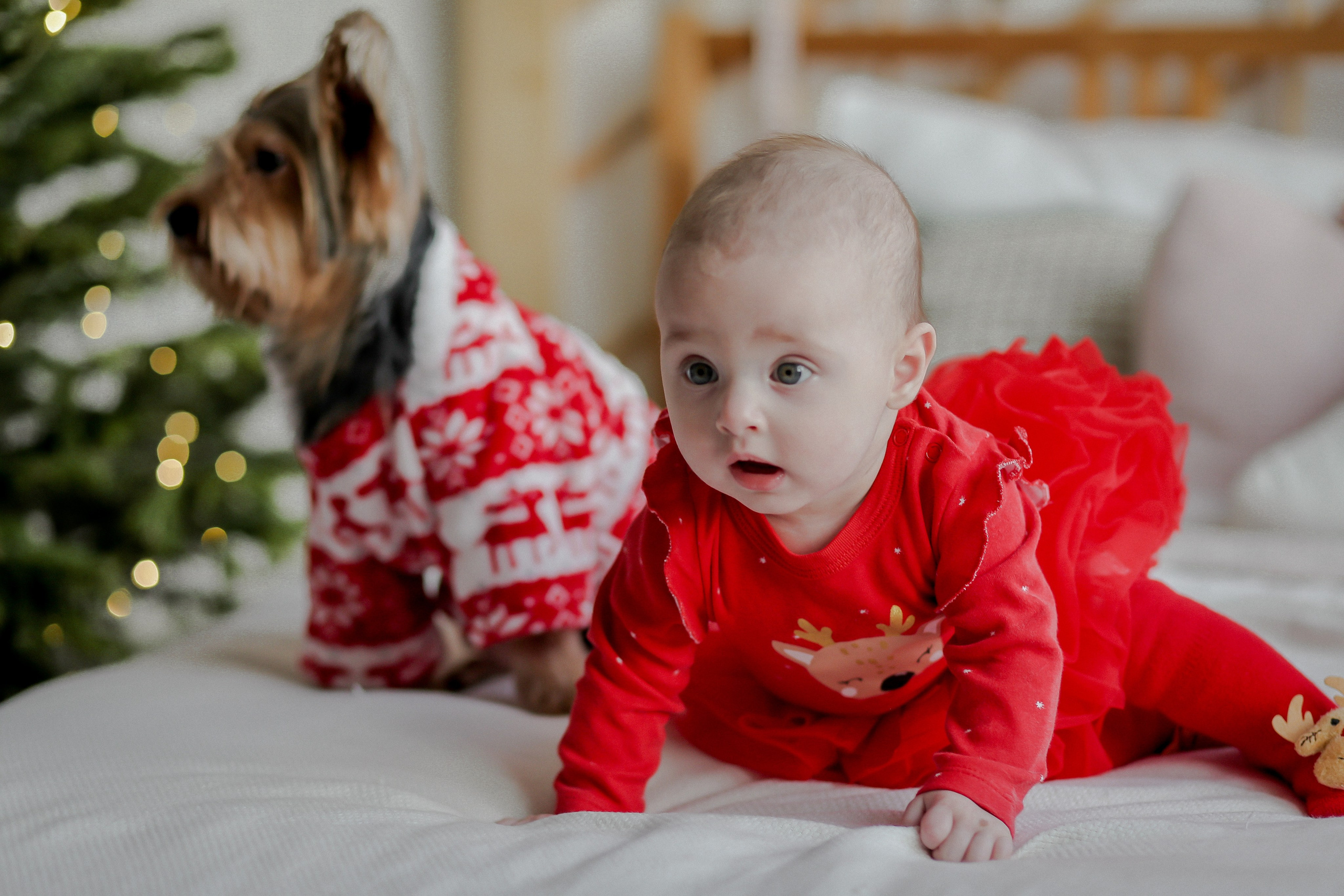 Новый Год. Фото и Видео в Краснодаре Verveyko Studio