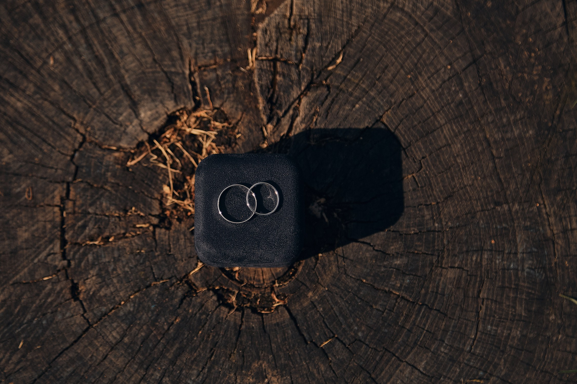 Дмитрий и Юлия. Свадебный фотограф в Самаре — Дмитрий Емец