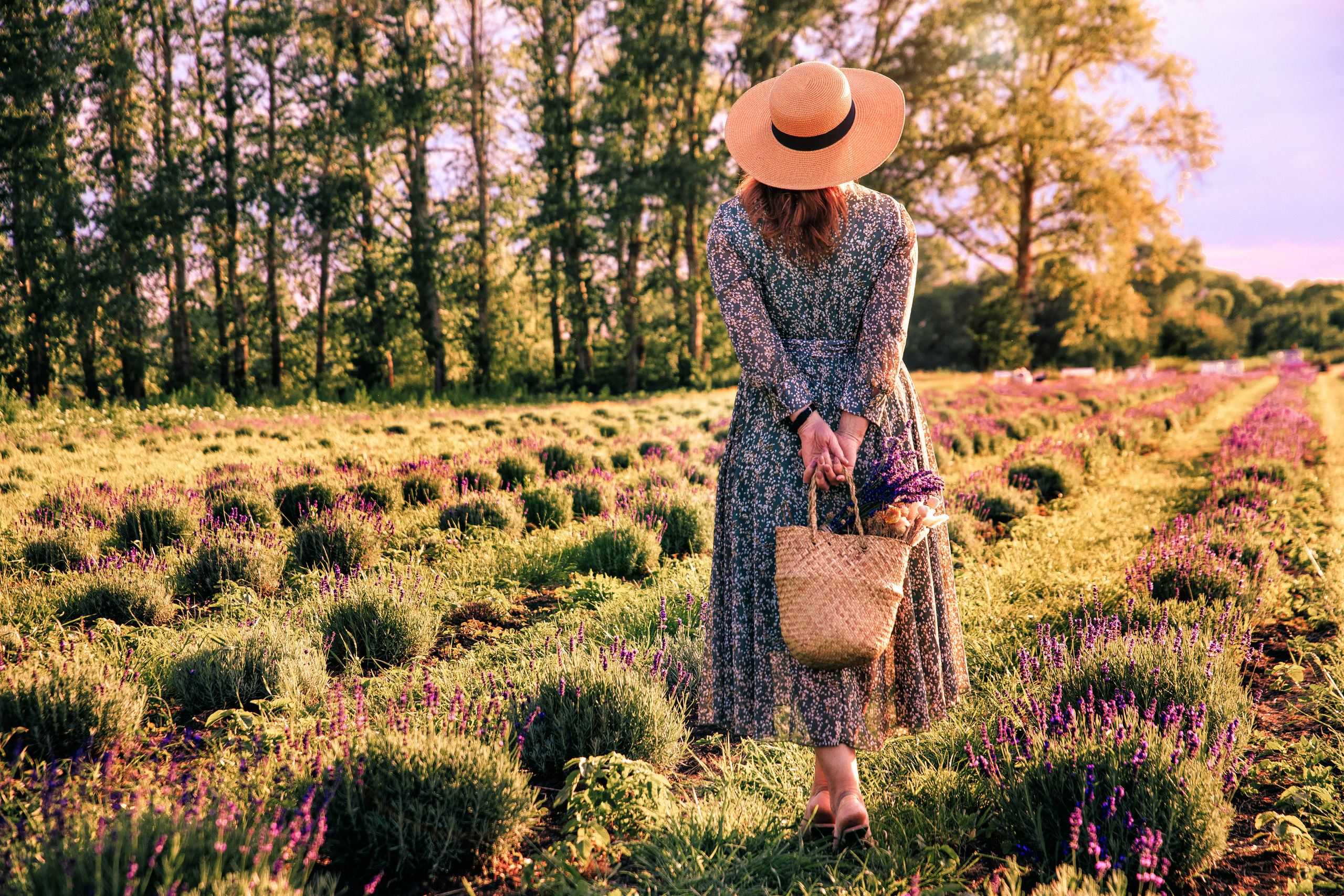 АНОНСЫ. Свадебный и семейный фотограф в Курске и Курчатове