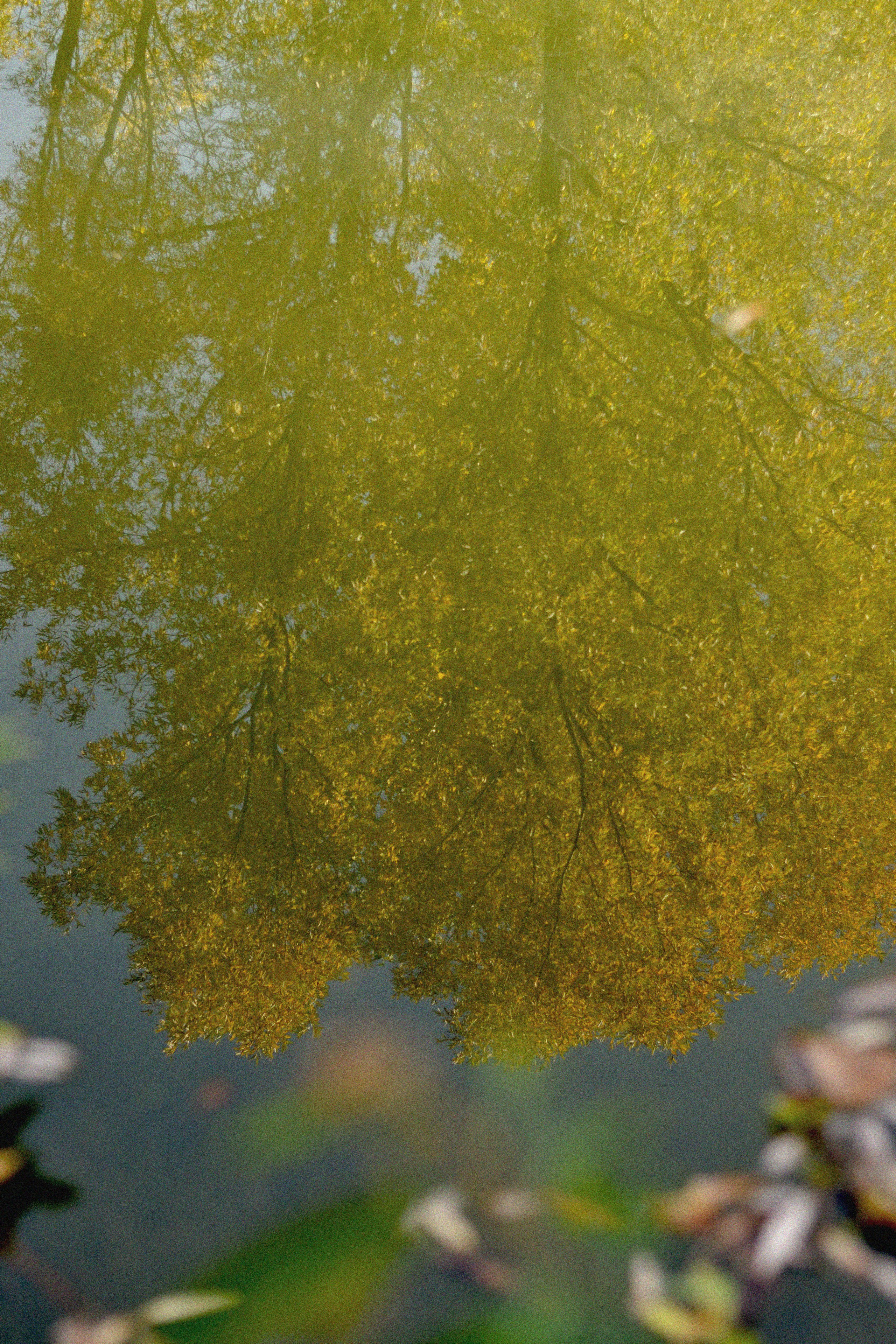 STREET. Фотограф Ольга Дмитриева. Новосибирск