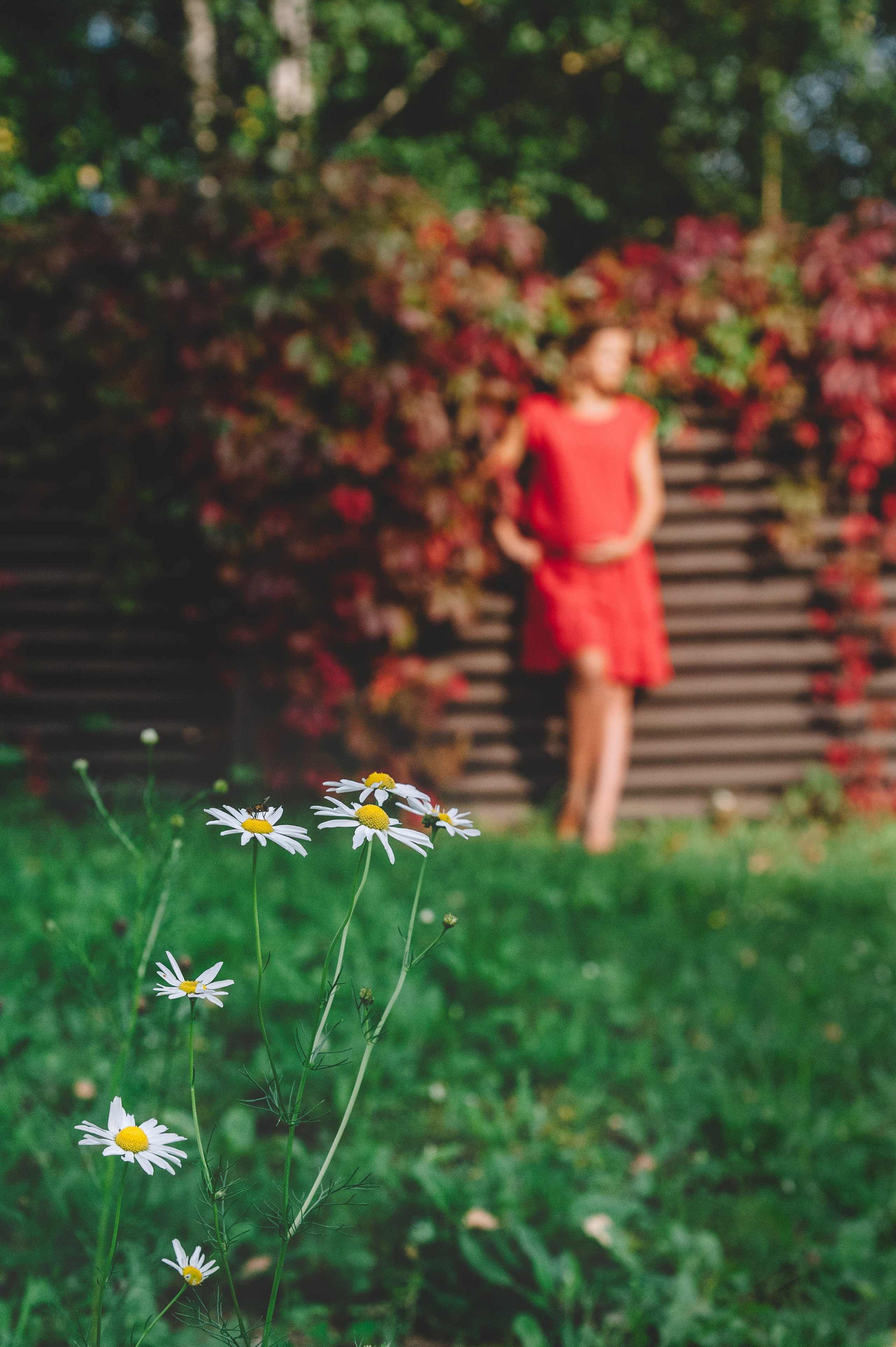 Нет ограничений на съемки на ваших дачах!. Семейный фотограф в Москве Елена Снегирева