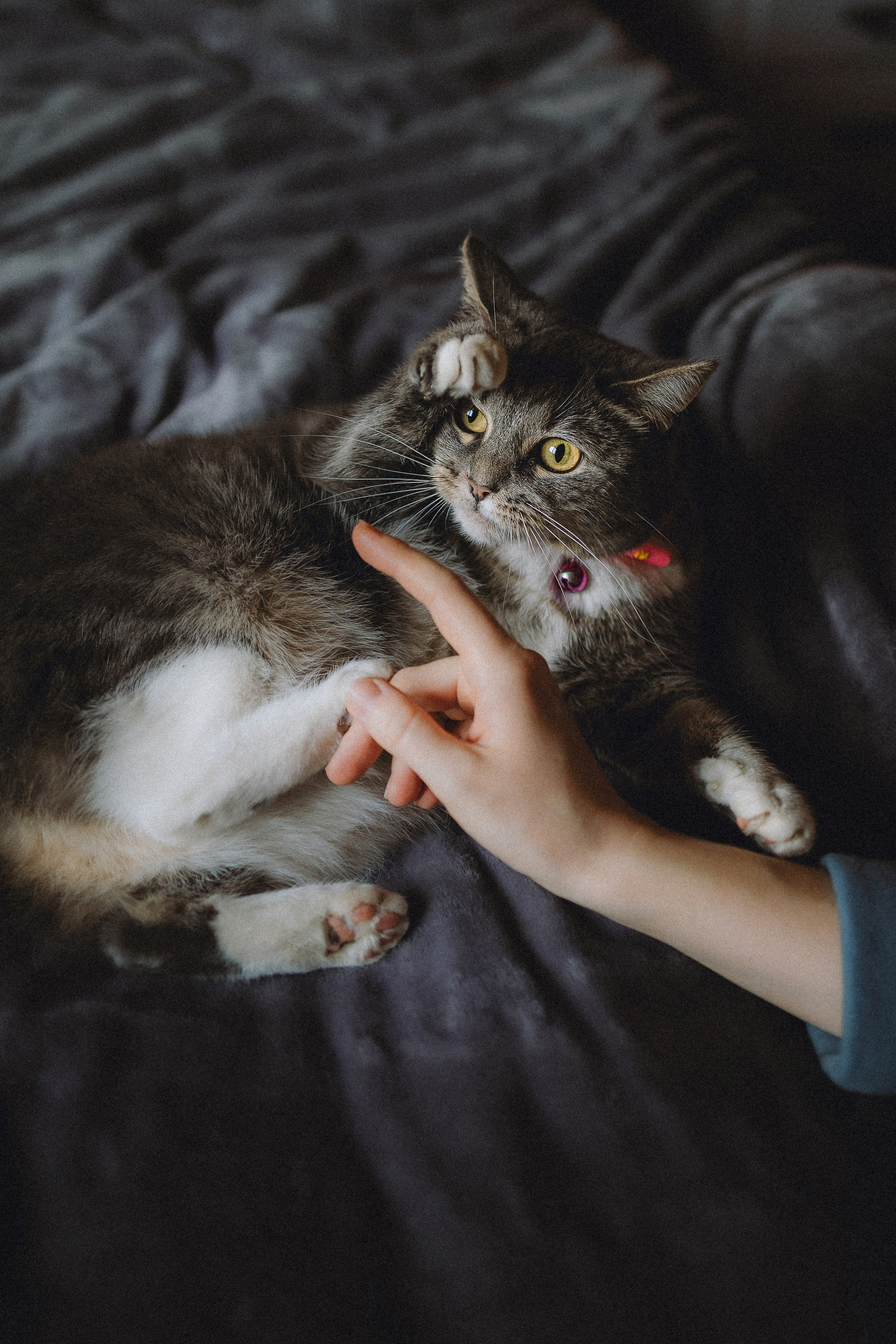 Леброн, Муся и их семья