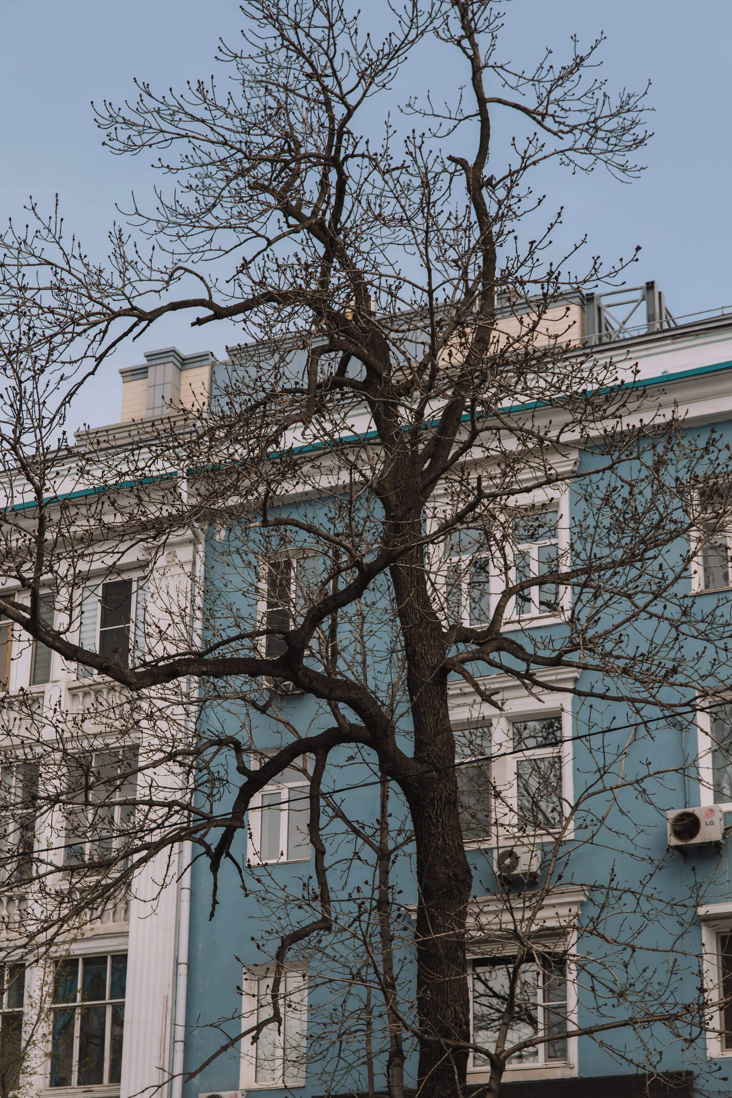 Екатерина. Фотограф во Владивостоке. Юрганова Анна