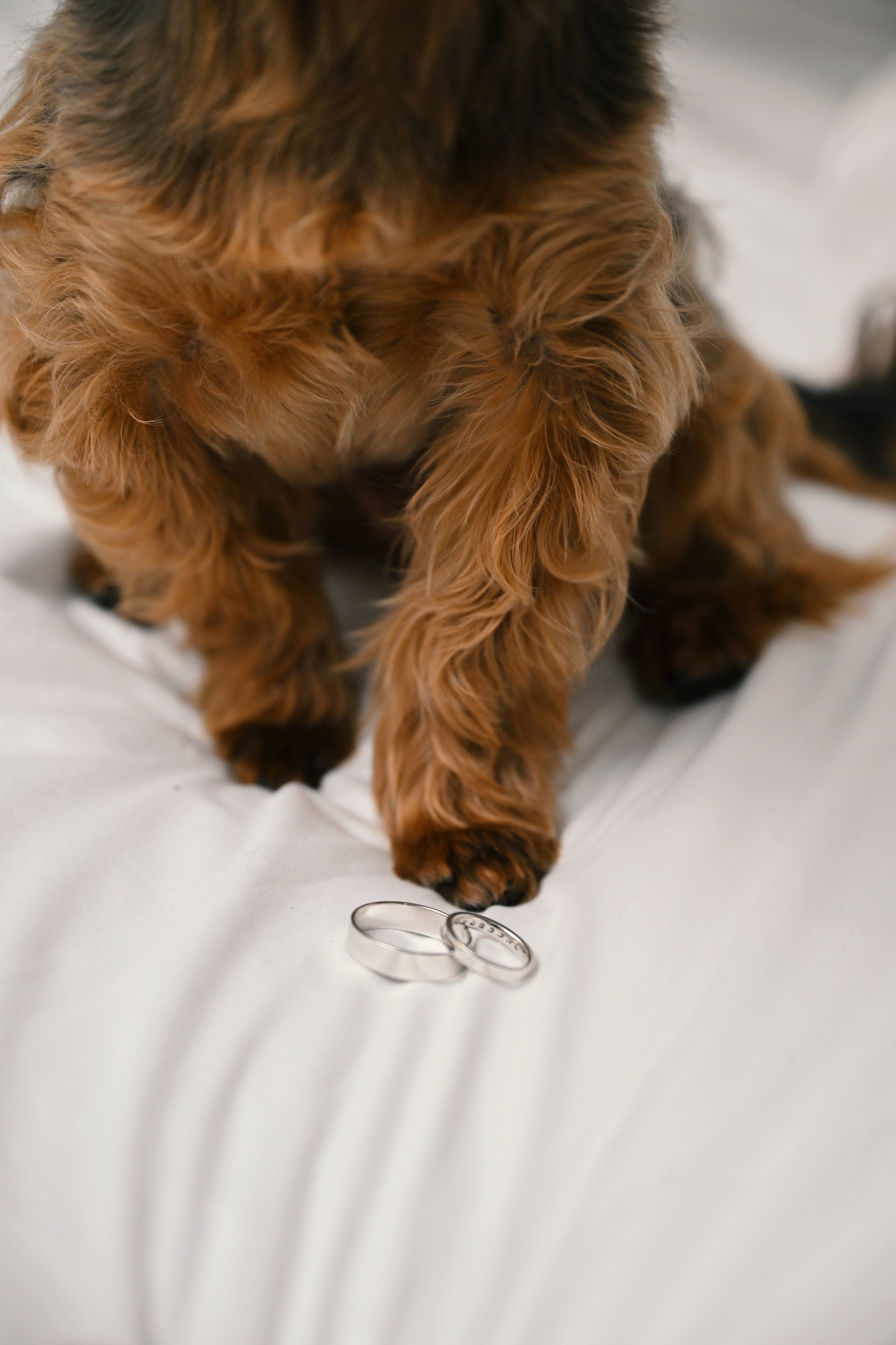 Свадебное портфолио. Кристина Еноктаева Фотограф Москва