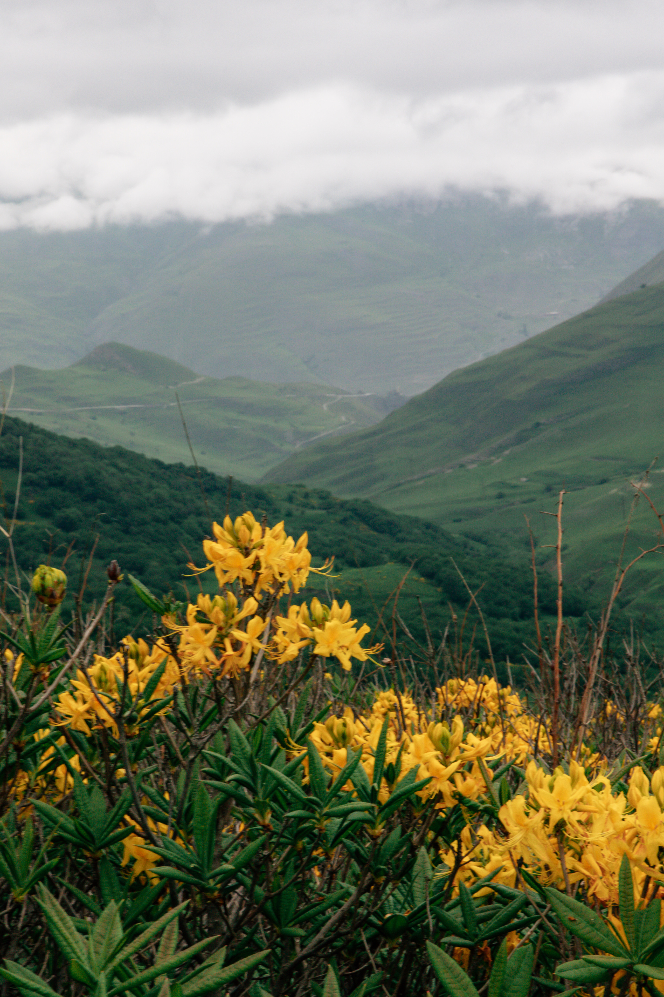 Северная Осетия. Хороший репортажный и промышленный фотограф в Казани Алексей Щелконогов