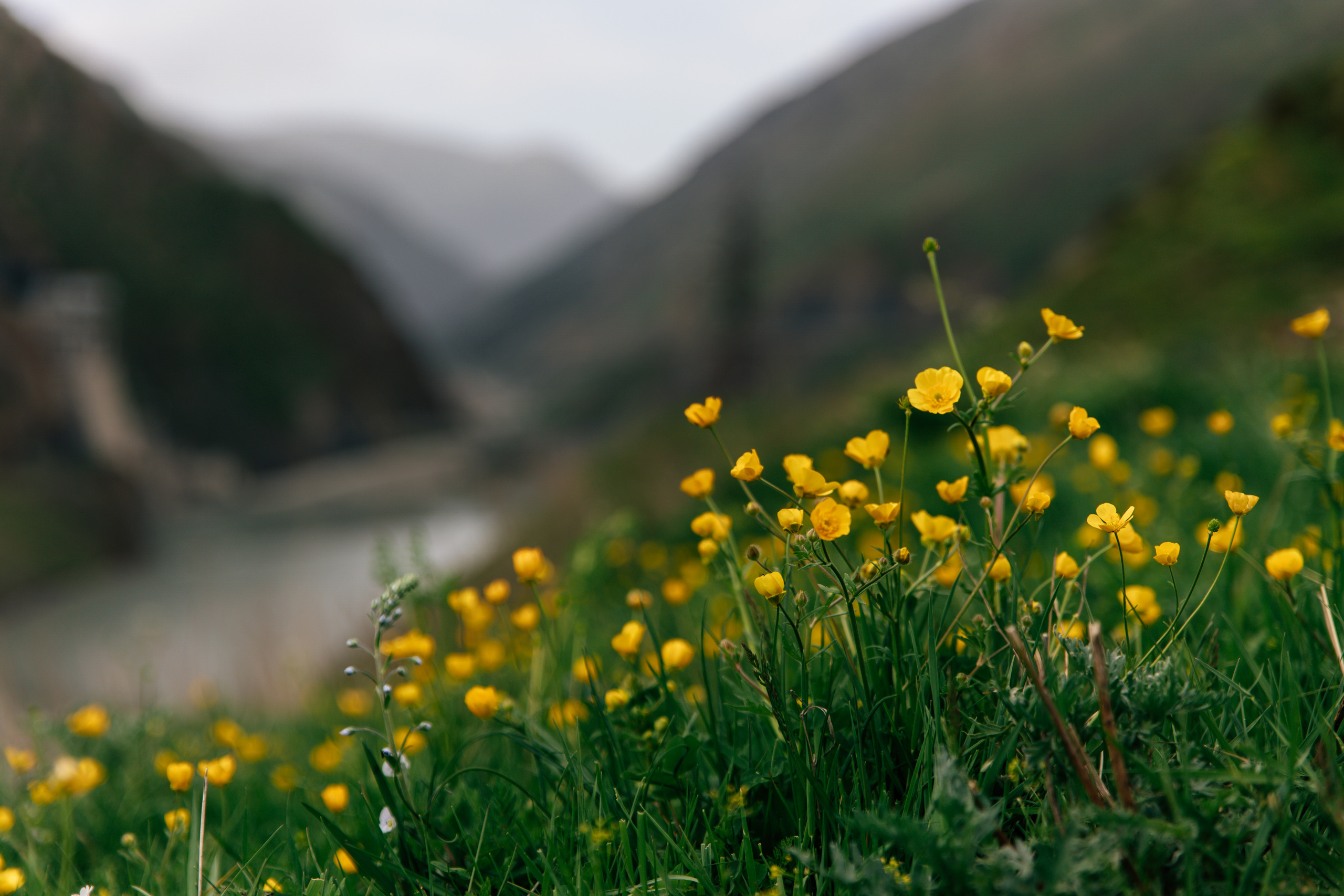Северная Осетия. Хороший репортажный и промышленный фотограф в Казани Алексей Щелконогов