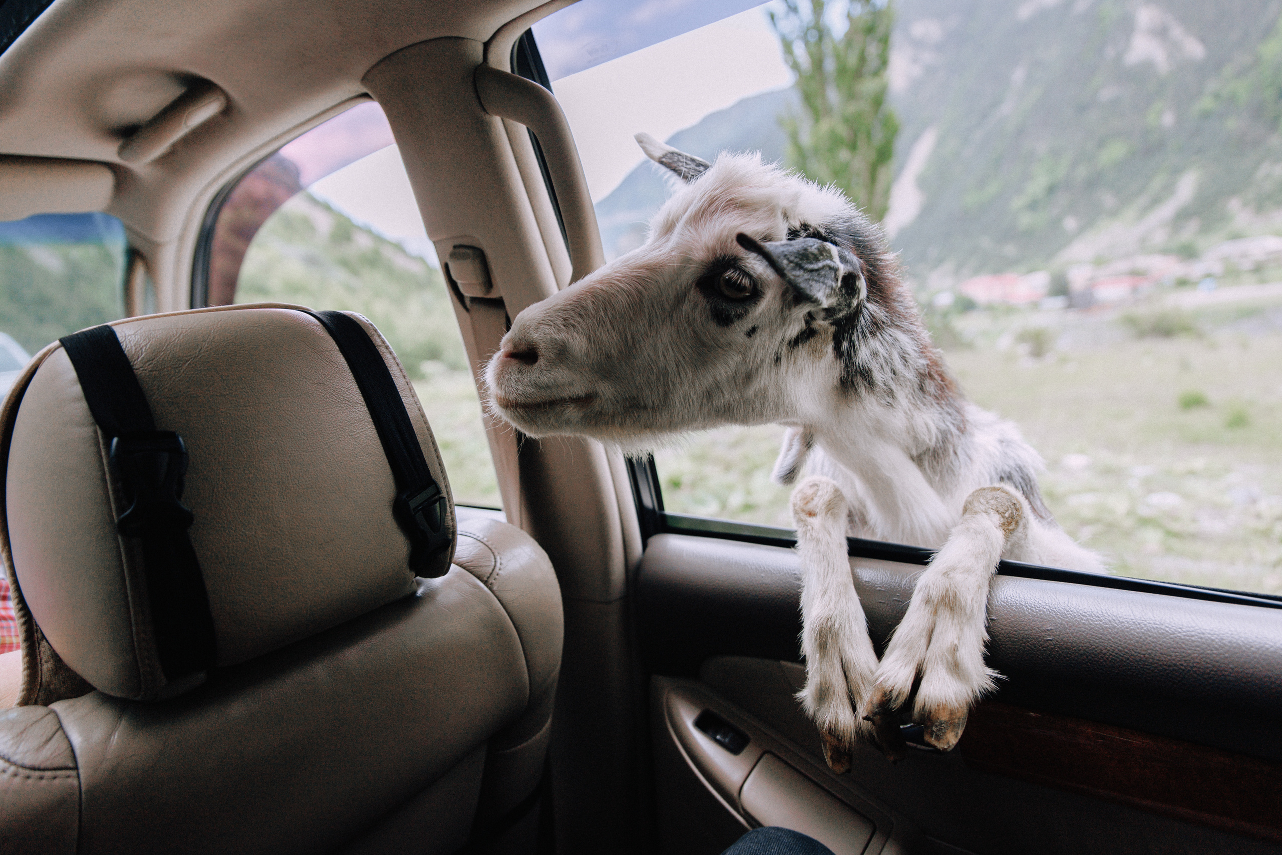 Северная Осетия. Хороший репортажный и промышленный фотограф в Казани Алексей Щелконогов