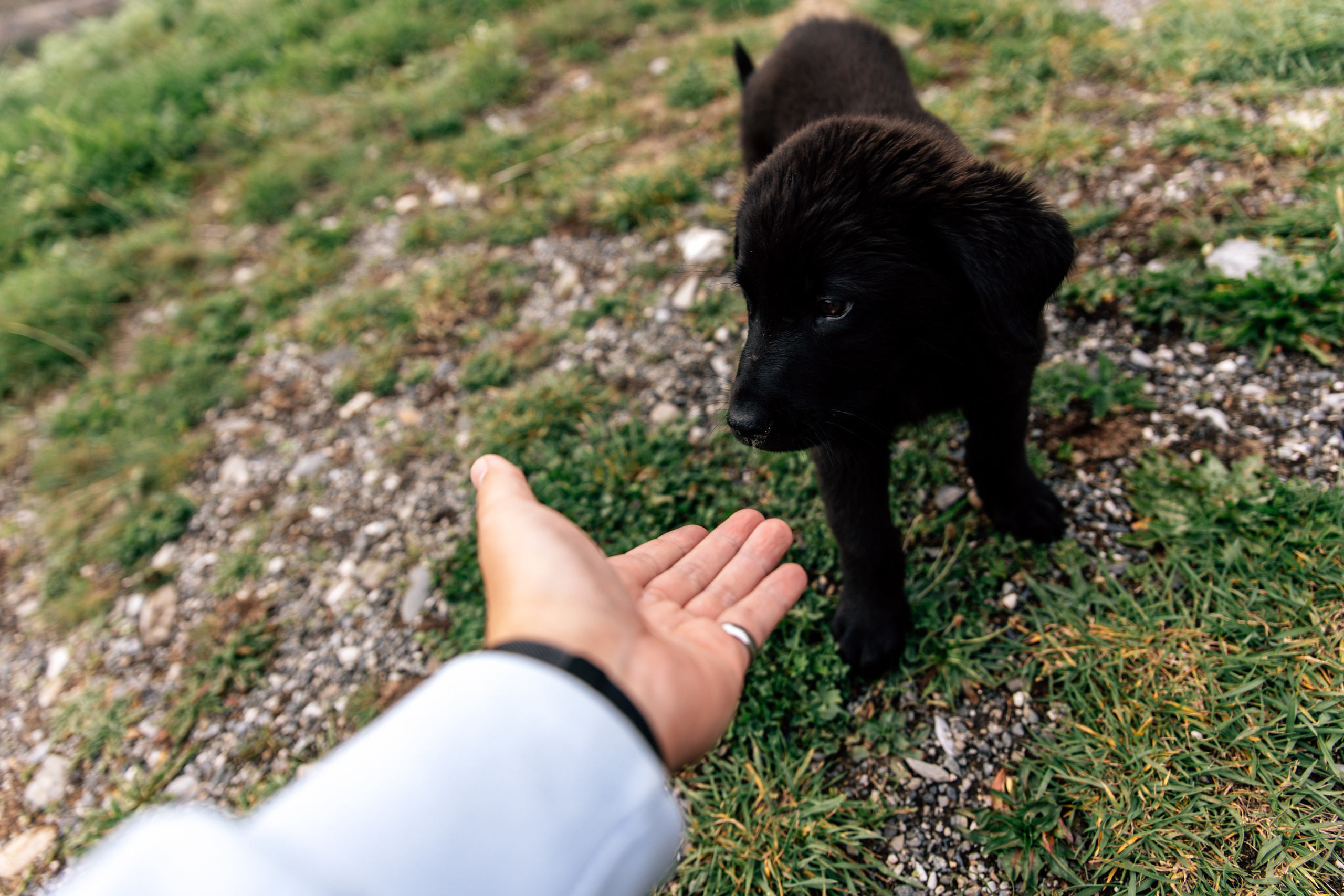 Северная Осетия. Хороший репортажный и промышленный фотограф в Казани Алексей Щелконогов