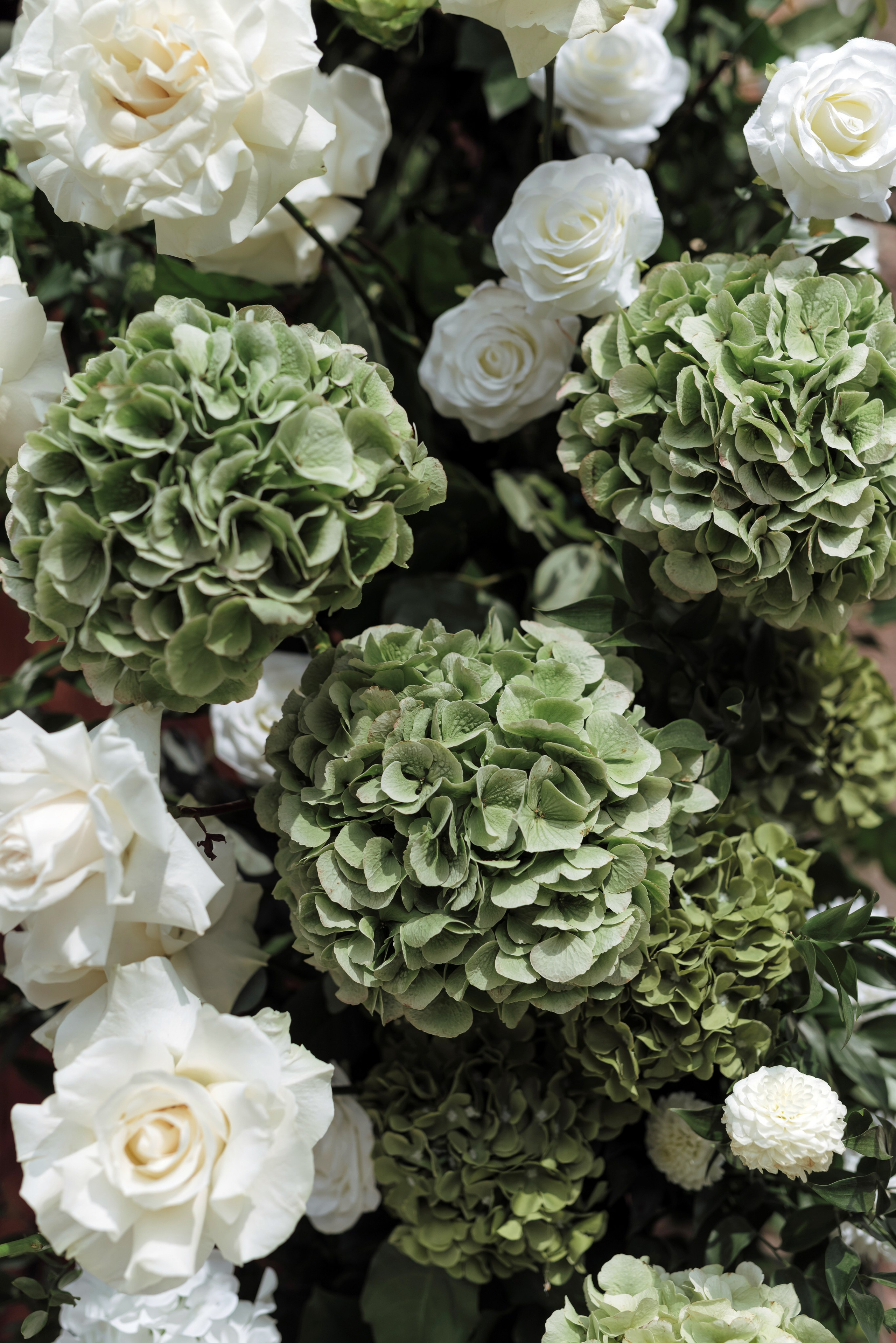 Evgeniy|Veronika. Свадебный фотограф в Минске и Санкт-Петербурге Вероника Аксенова