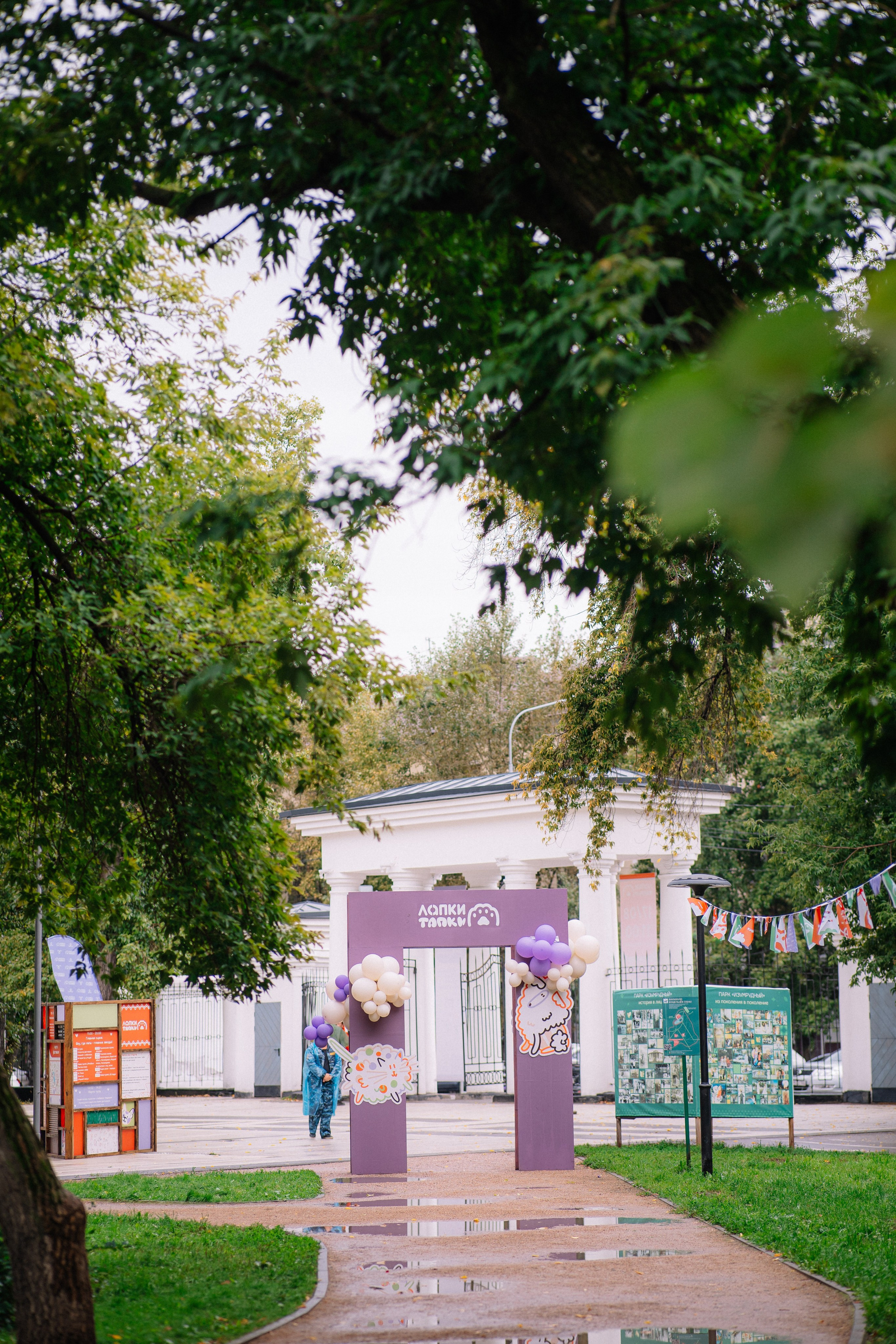 Фотоотчет ЛАПКИ ТАПКИ в Барнауле. Репортажный (Event) фотограф в Барнауле | Даниил Маркин | Качество и вайб