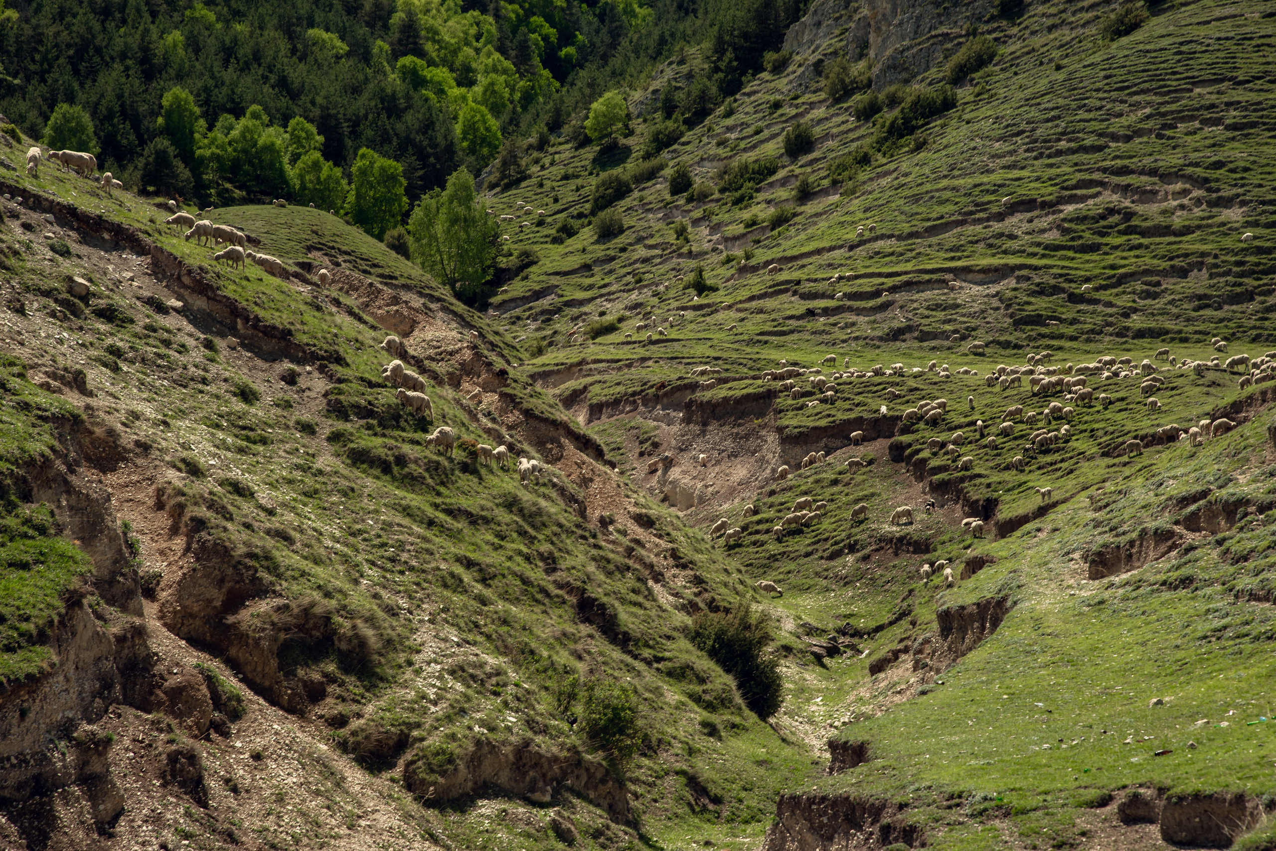 Дагестан. Фотограф Крещение Венчание Москва