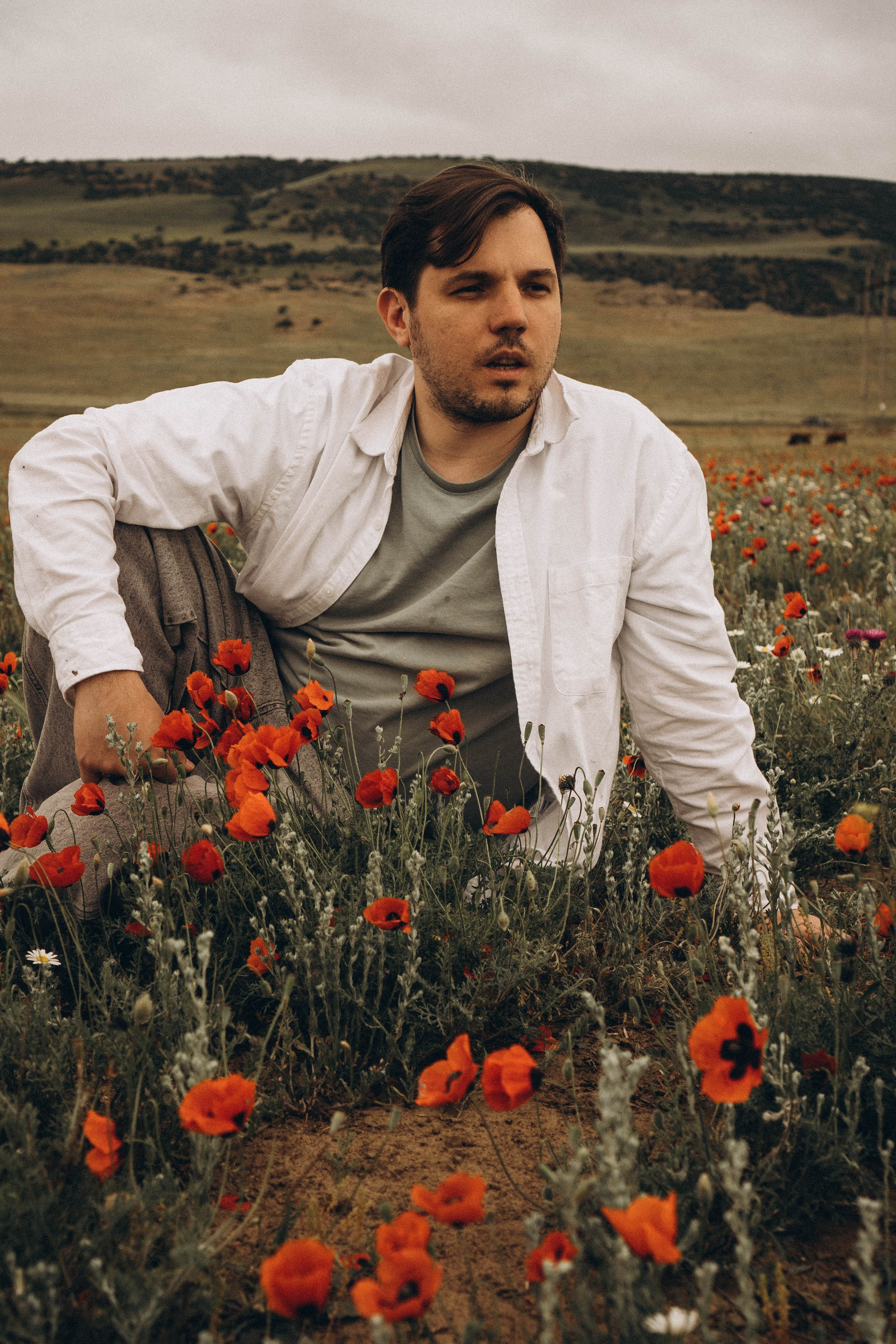 Маки. Профессиональный фотограф, Санкт-Петербург — Виктория Богомолова