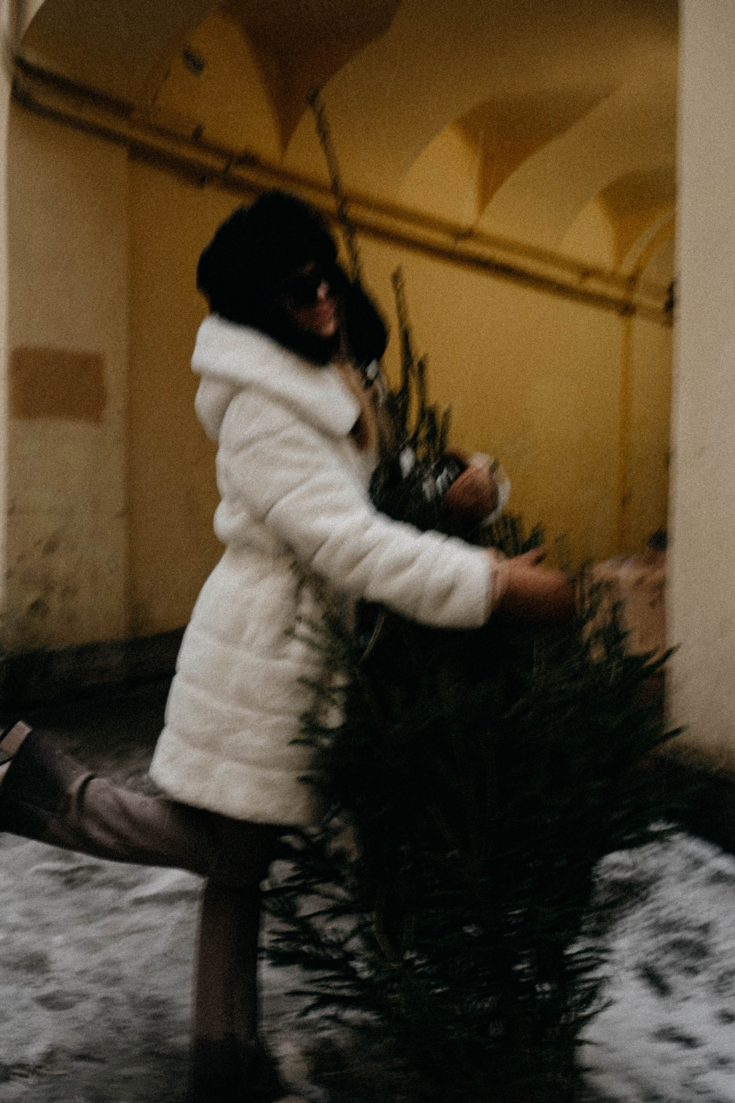 Новогодняя. Профессиональный фотограф, Санкт-Петербург — Виктория Богомолова