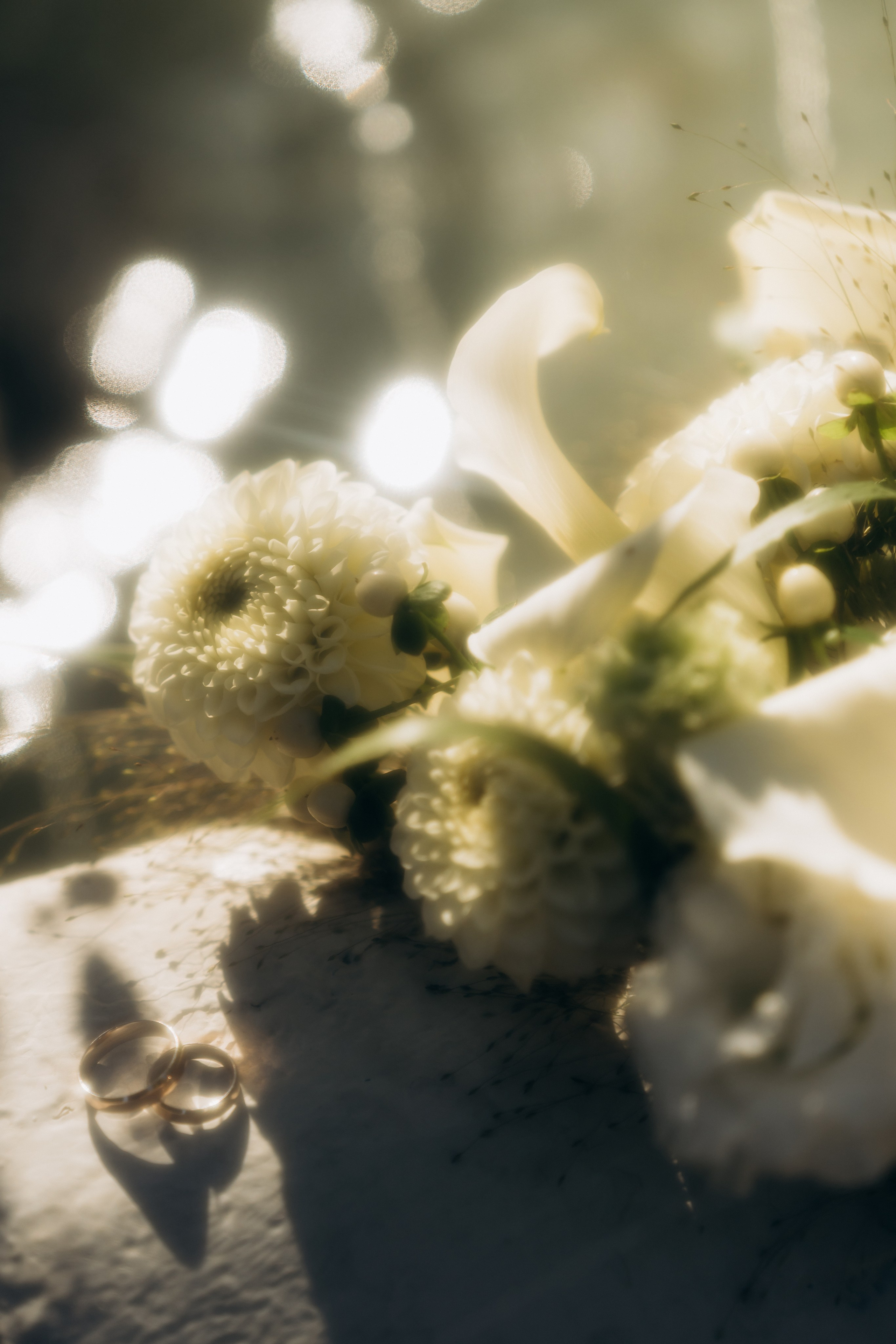 Александр и Анна. Ирина Гонтарева|Фотограф|Белгород