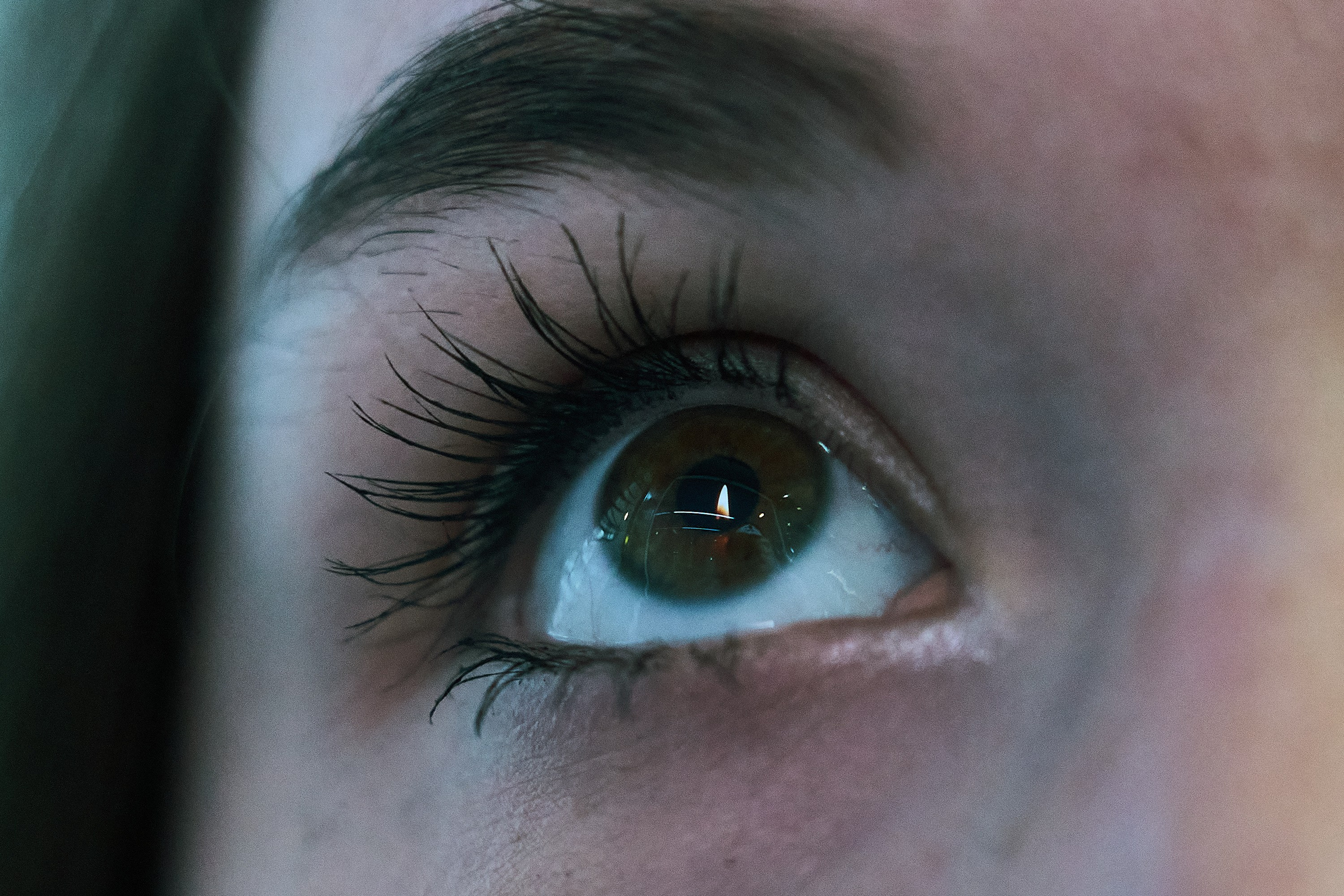 Крокус. Траур. Фотограф и оператор мероприятий, концертов и портретов в городе Москва