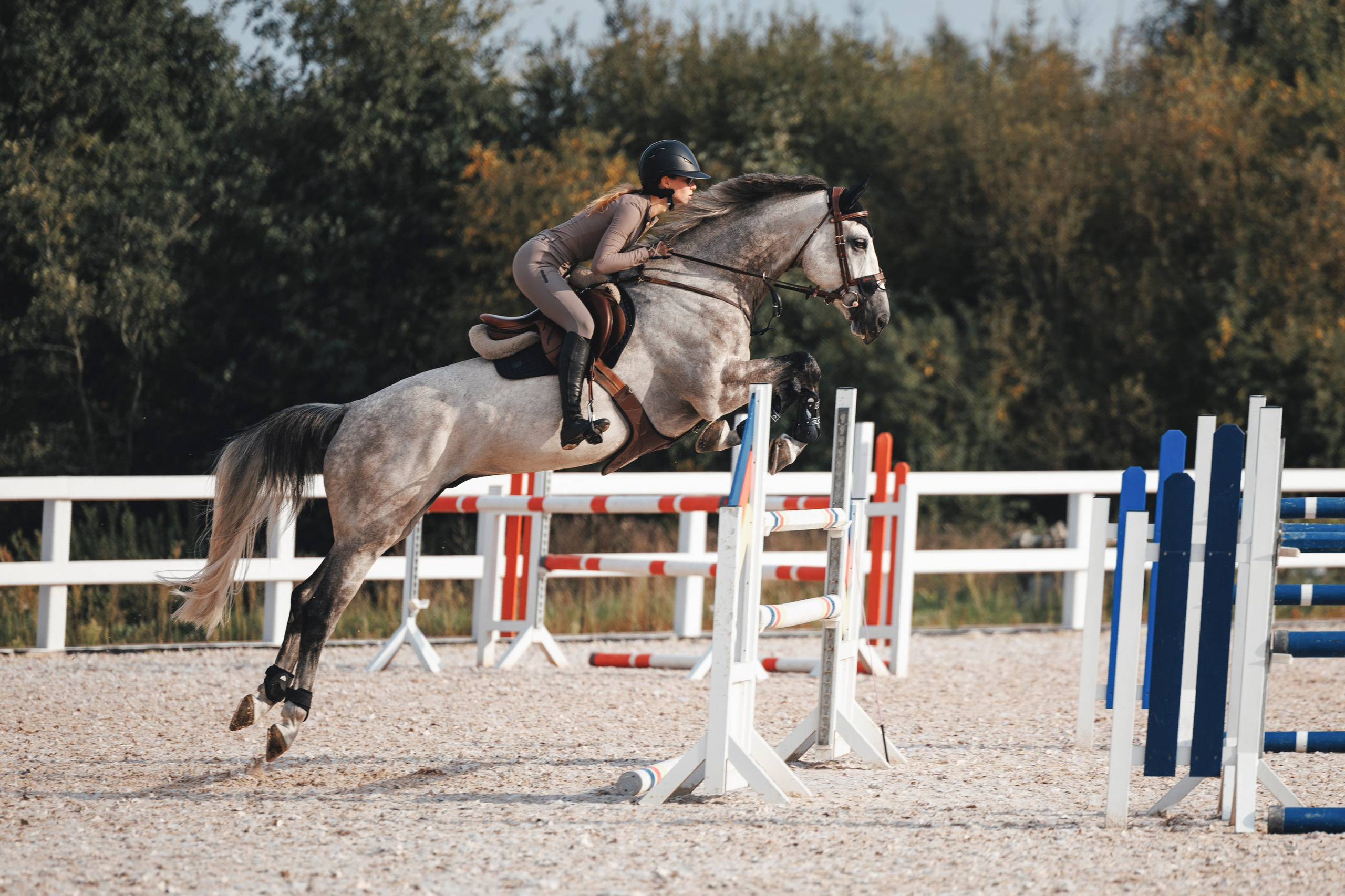 Конкур. Фотограф-анималист Анна Маринич