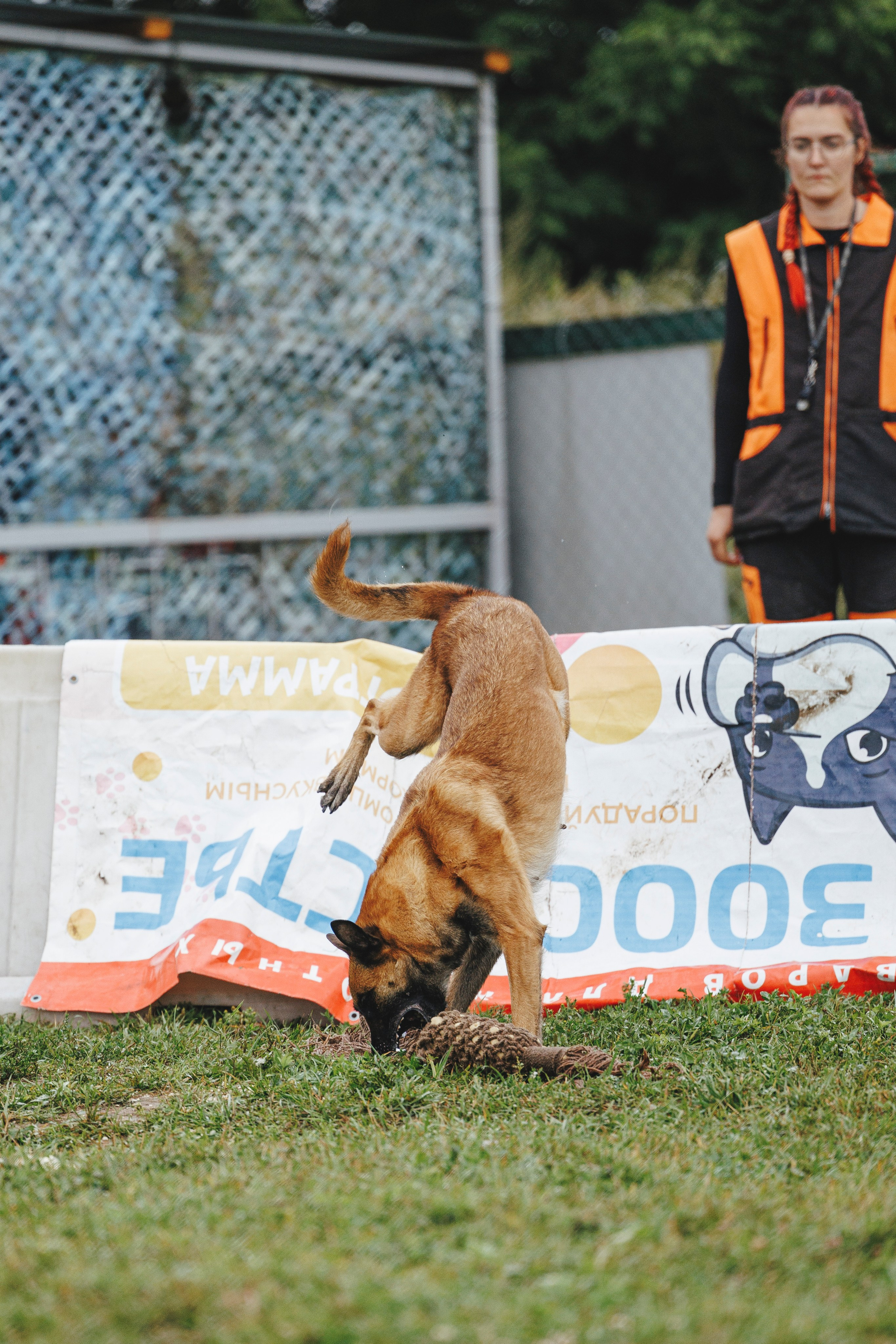 08.08.25-10.08.25 ЧР по мондьорингу г. Вологда. Фотограф-анималист Анна Маринич