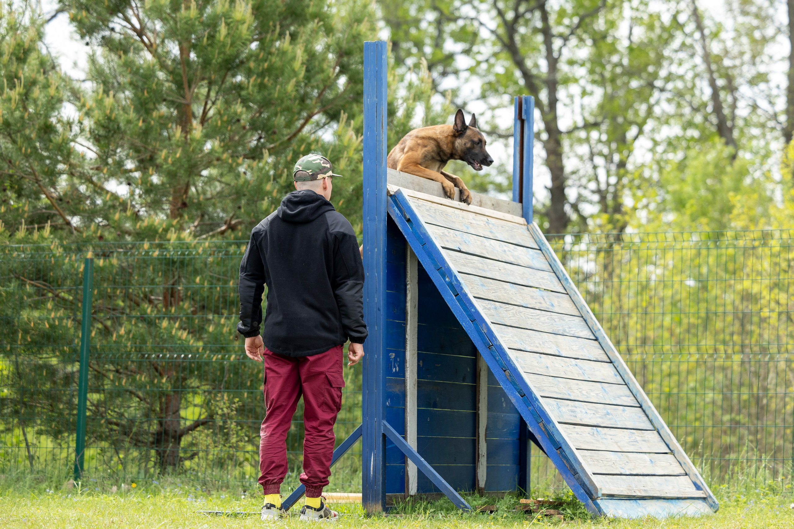 Испытания по мондьорингу в Нижнем Новгороде. Фотограф-анималист Анна Маринич