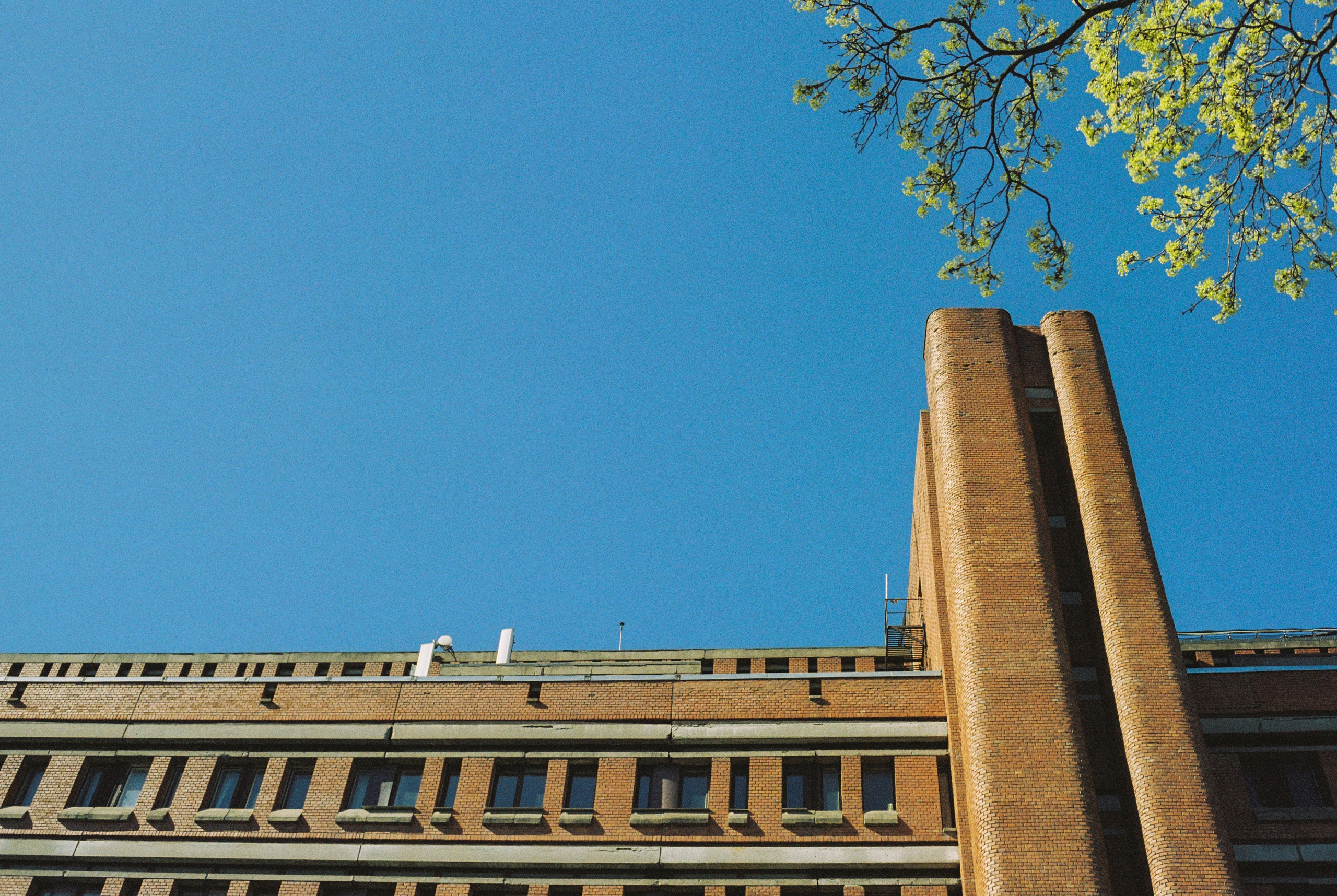 Плёночная весна 2025. Илья Михачёв Фотограф ПРО людей