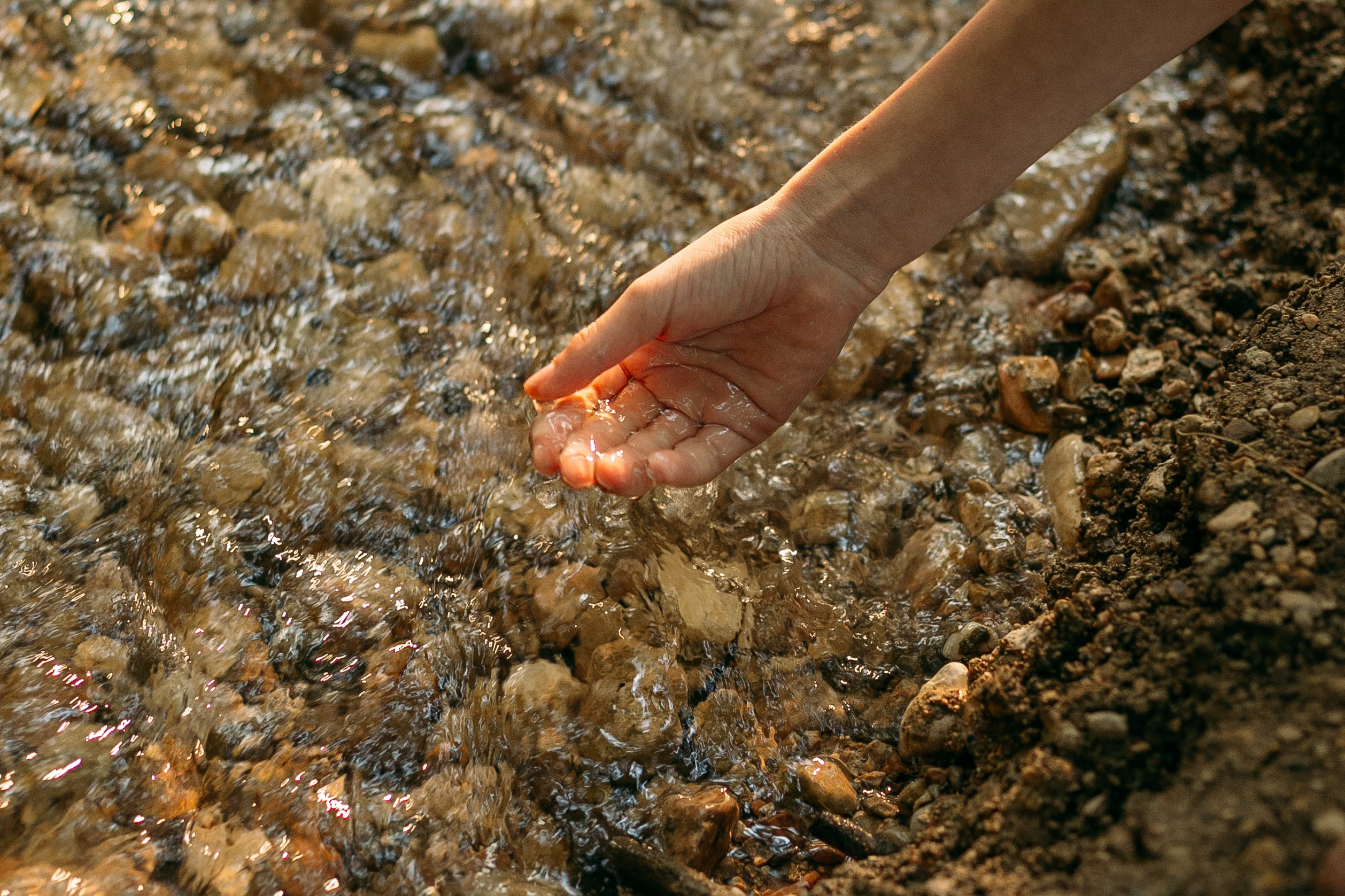 Большая и дружная. Фотограф в Севастополе | Крым