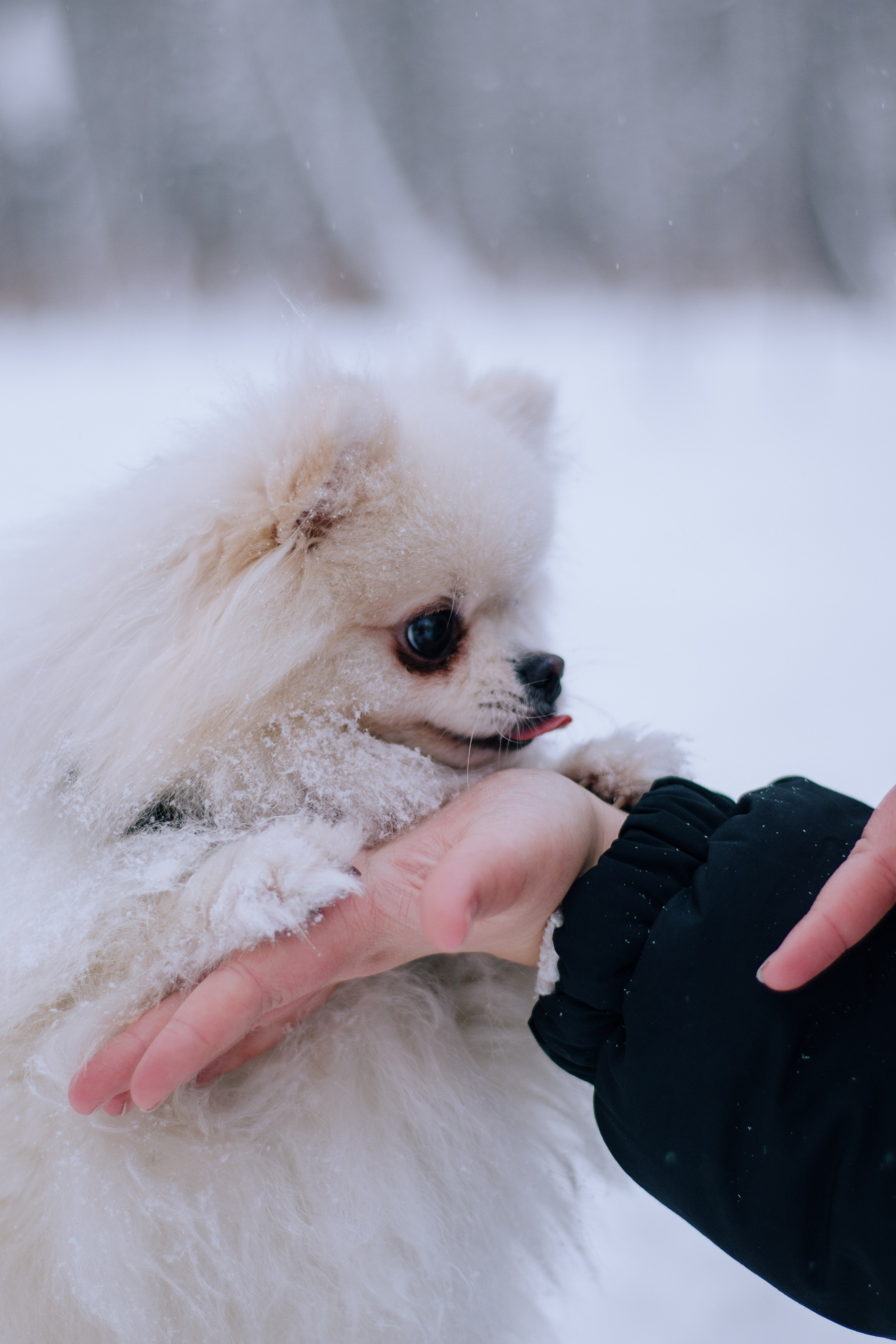 Лера, её мама и Саймон. Фотограф в Тюмени Лизавета Сапицкая