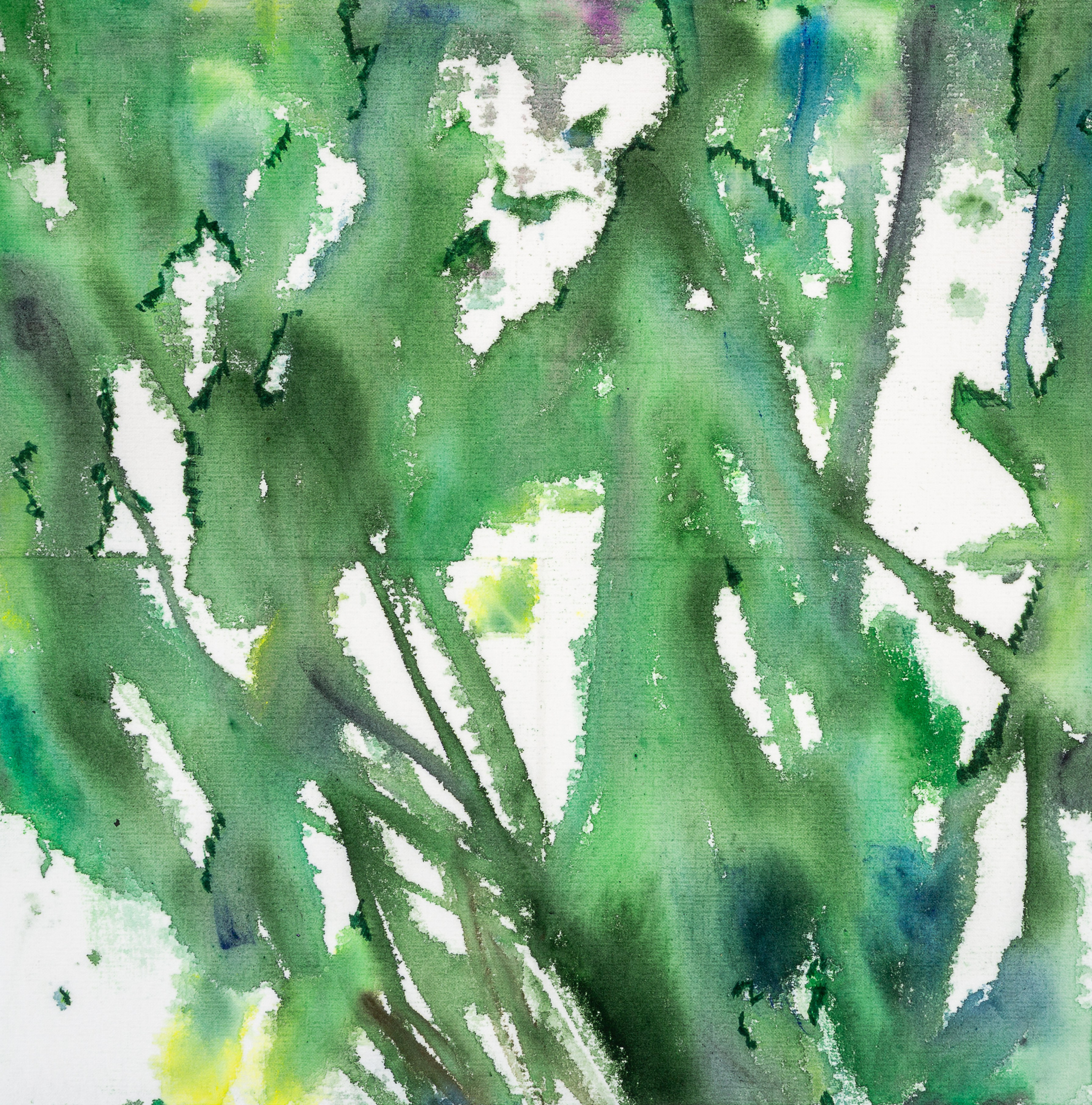 Аня Ким — Дикий сад