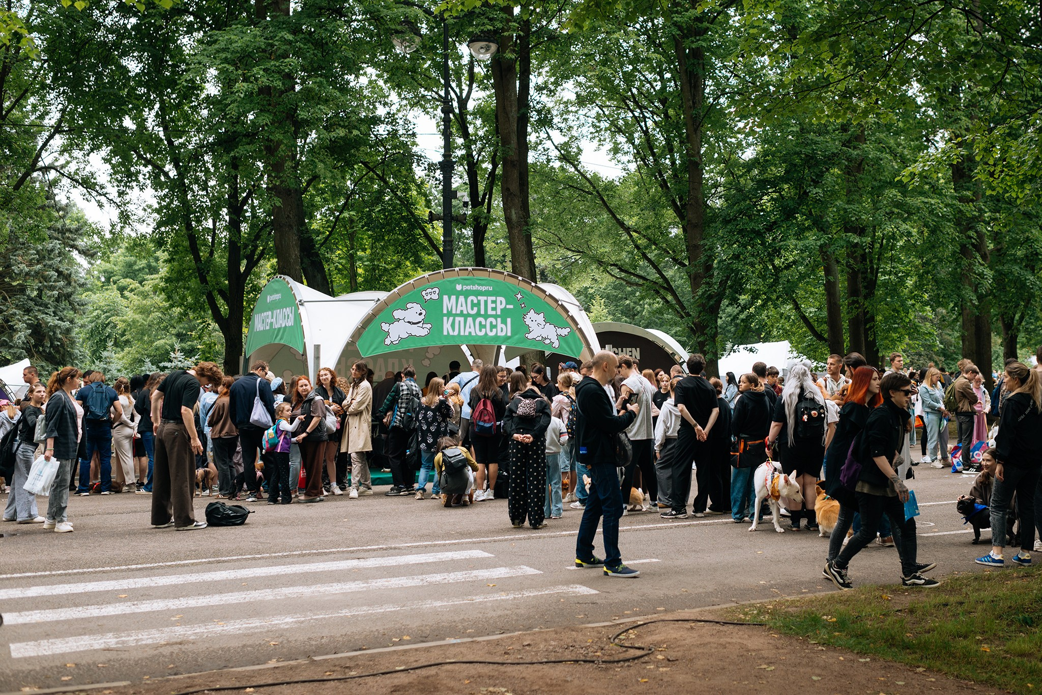PETSHOP DAYS. Июнь 26. Репортажный фотограф в Санкт-Петербурге Анастасия Клёпова