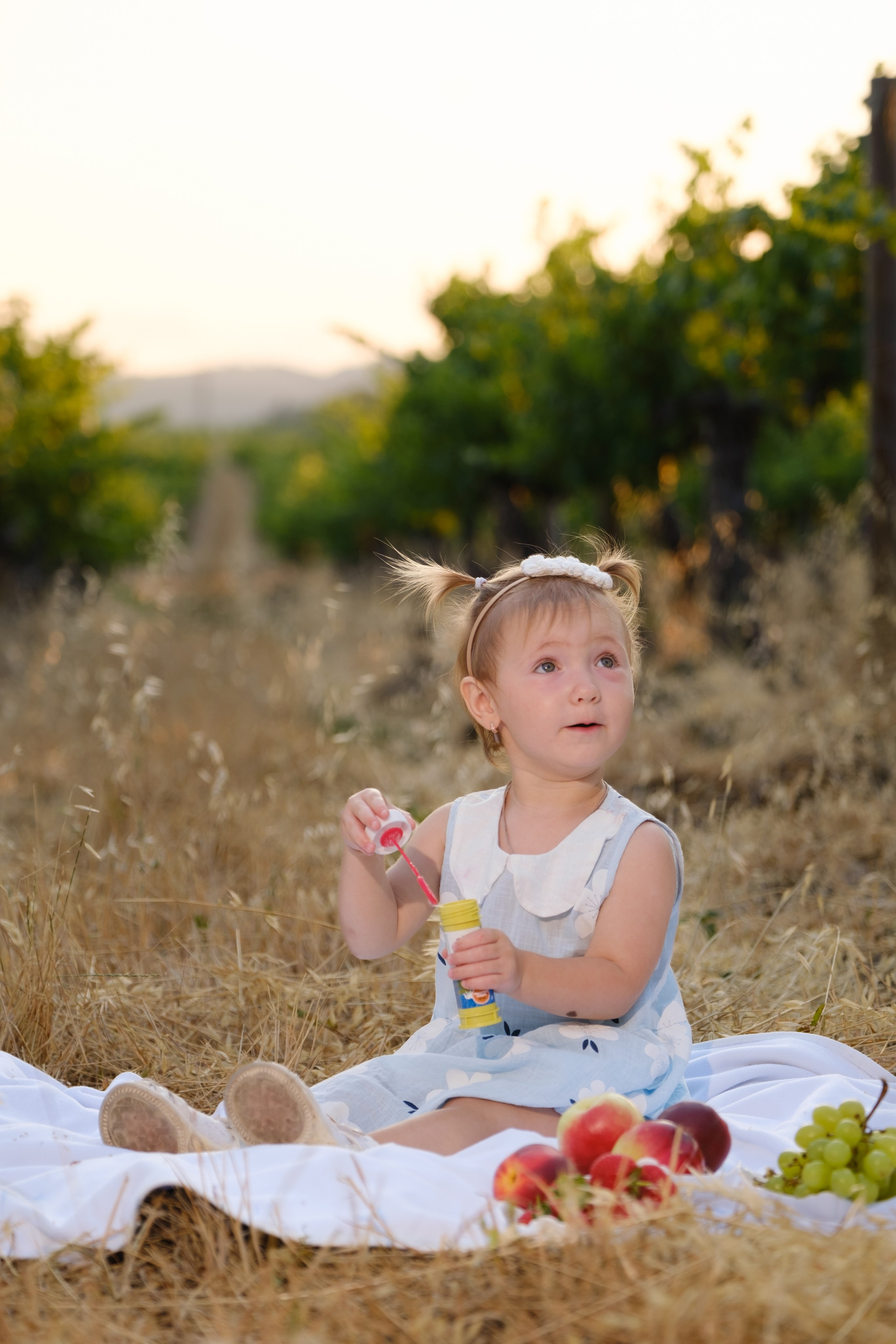 В виноградниках!. Профессиональная фотосъемка в Крыму. Натуральные эмоции и живые кадры. Забронируйте дату прямо сейчас!