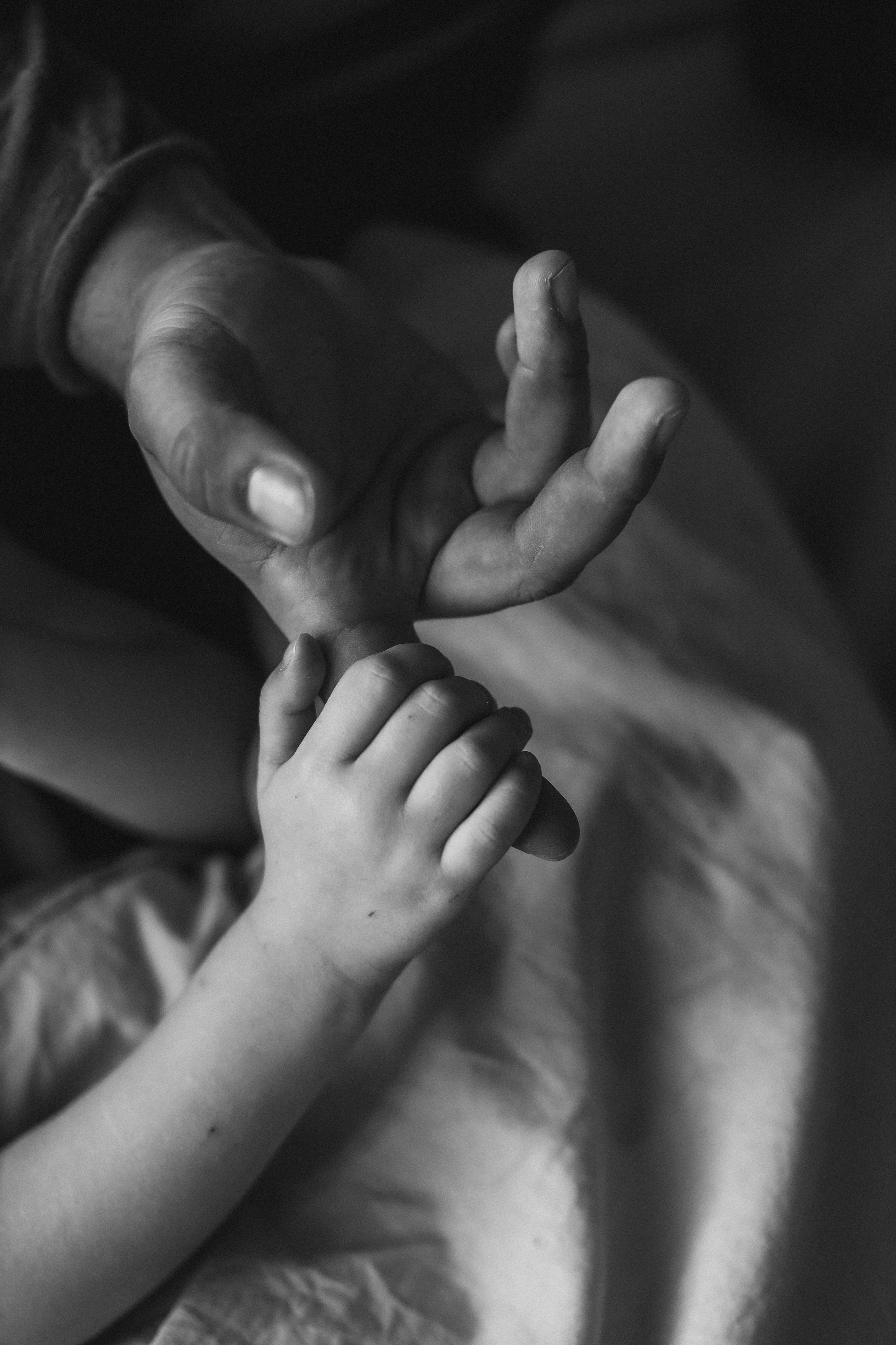 Семейная фотосессия в Санкт-Петербурге. Семейный и фотограф новорожденных в Санкт-Петербурге Ольга Руденко