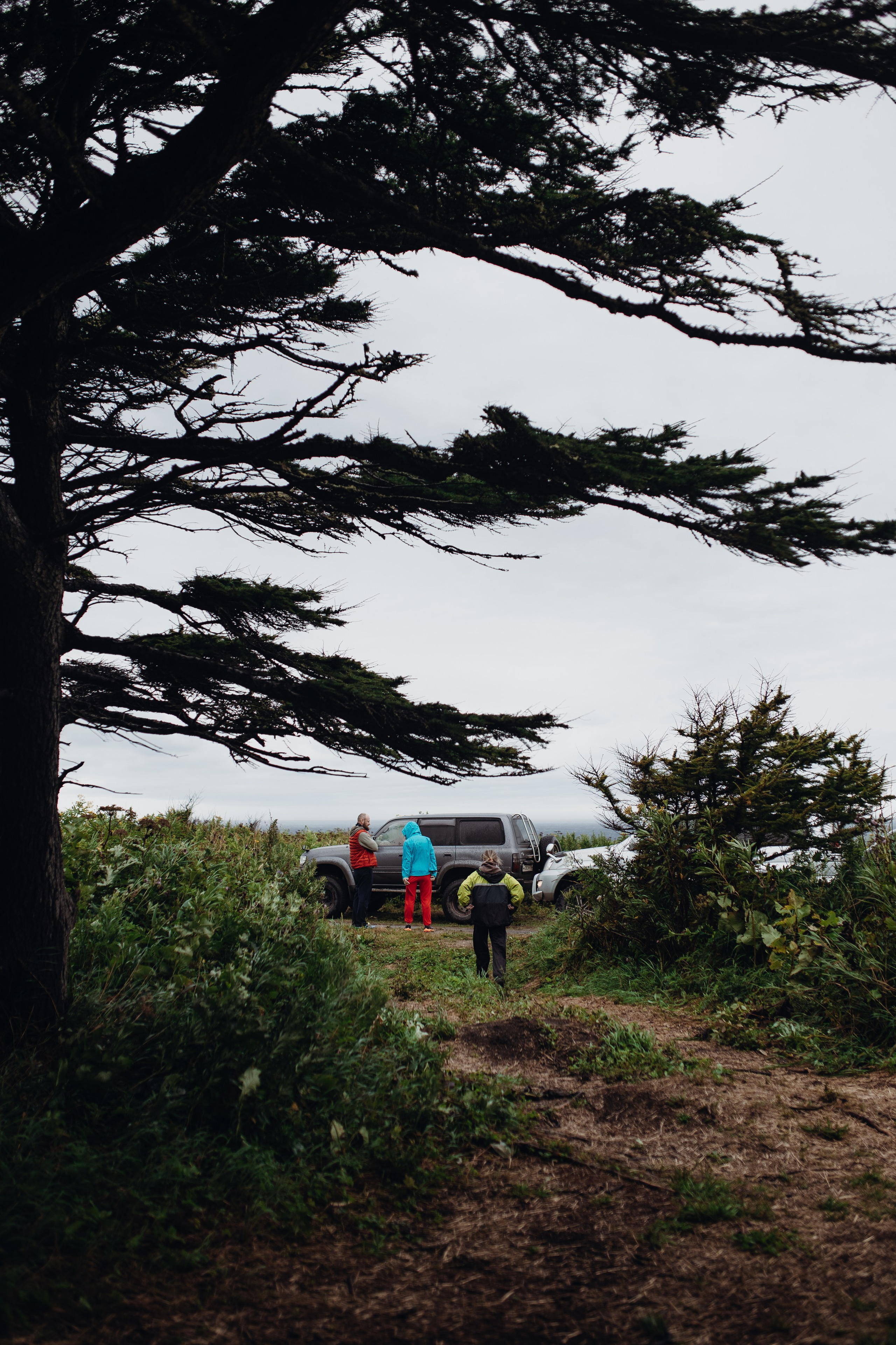 Авторский тур «Оля, куда завтра?!» 2024. Фотограф Итуруп | Курильские острова