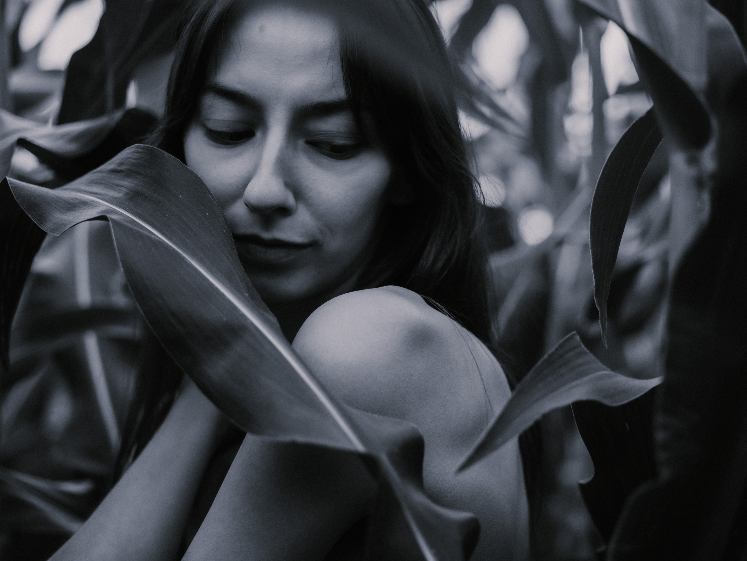 Катя. Фотограф Сергиев Посад | Москва Малеванникова Александра