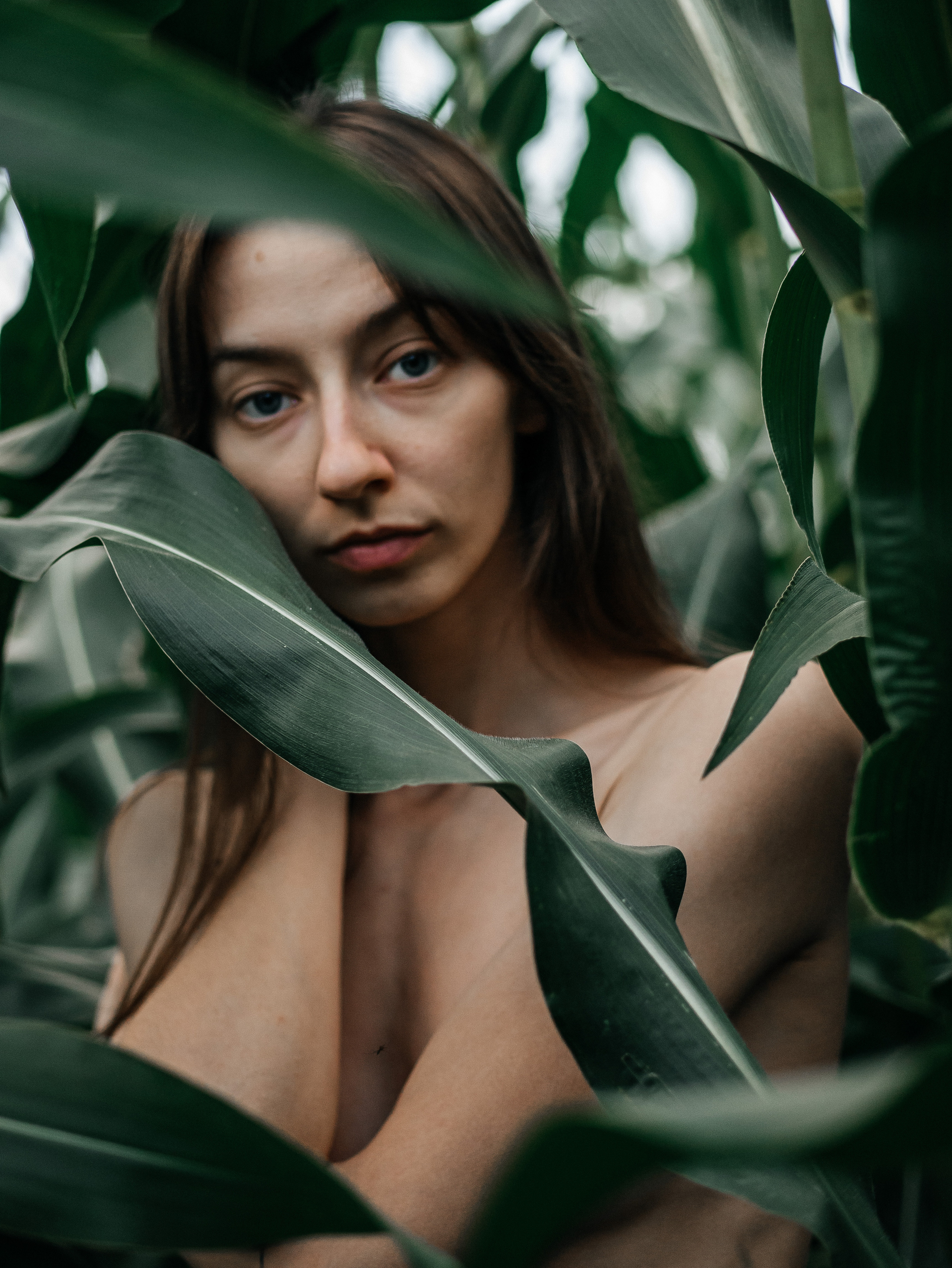 Катя. Фотограф Сергиев Посад | Москва Малеванникова Александра